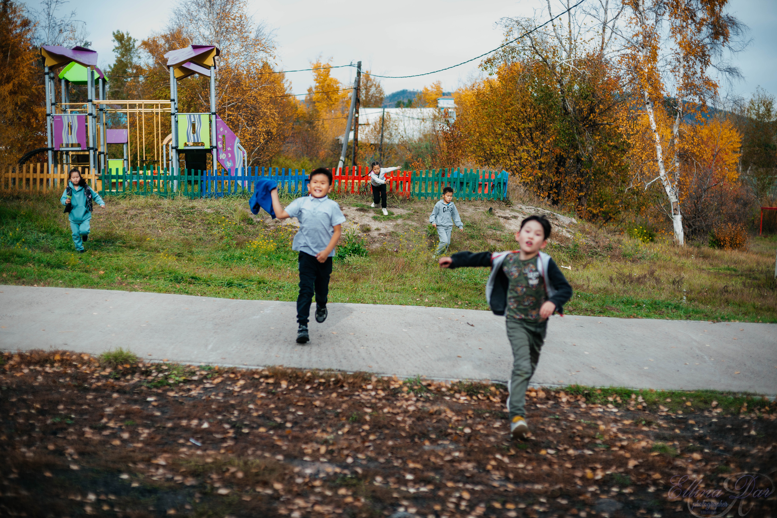 Берёзка на Верхней Березовке. Фотограф Эллина Дар г. Улан-Удэ