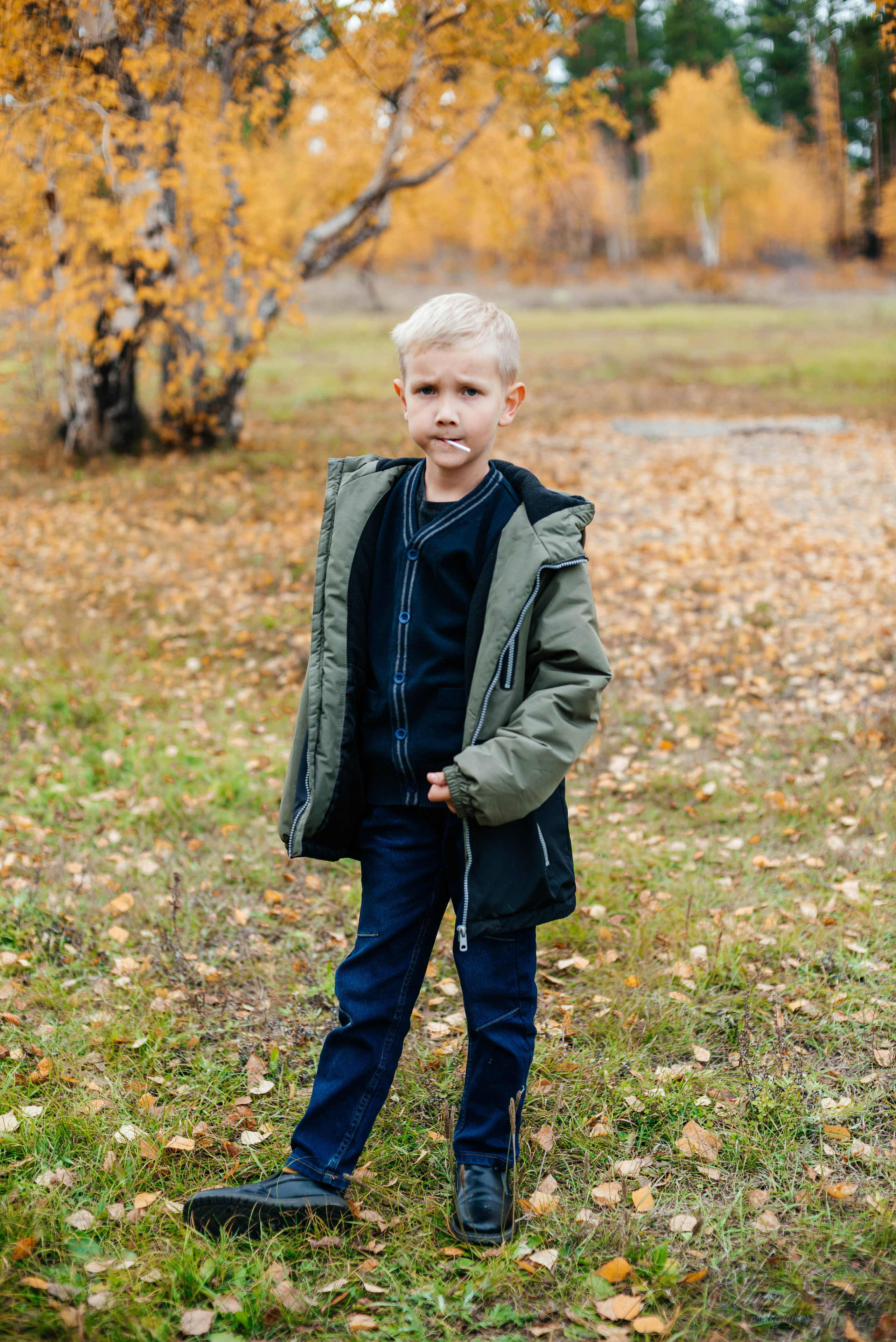 Берёзка на Верхней Березовке. Фотограф Эллина Дар г. Улан-Удэ