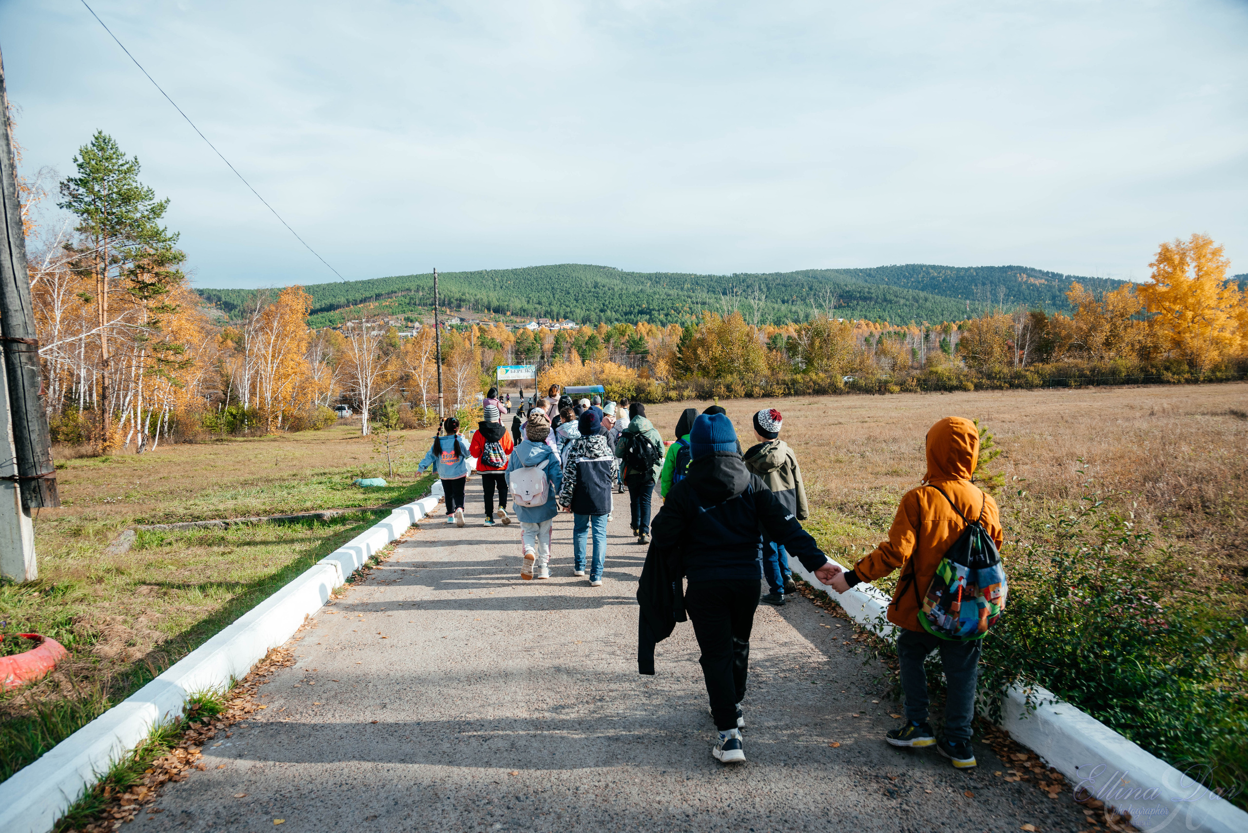 Берёзка на Верхней Березовке. Фотограф Эллина Дар г. Улан-Удэ
