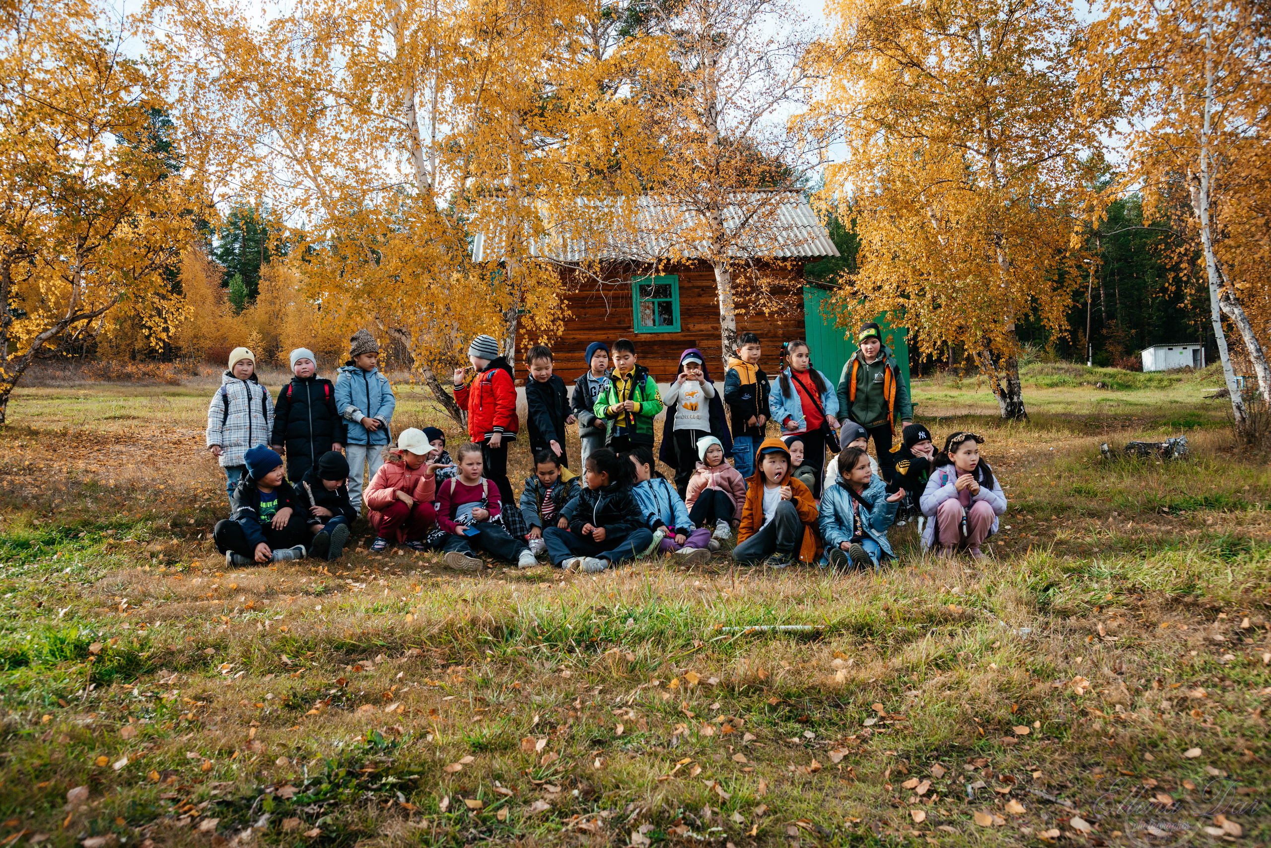 Берёзка на Верхней Березовке. Фотограф Эллина Дар г. Улан-Удэ