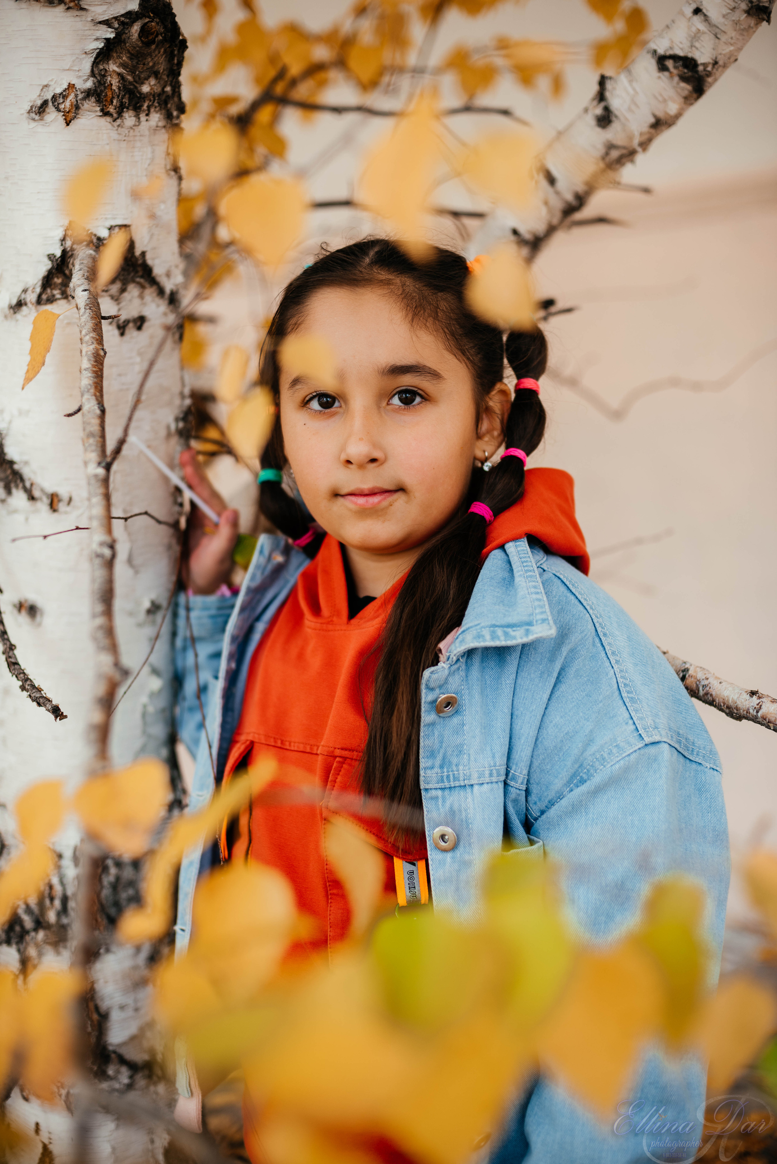 Берёзка на Верхней Березовке. Фотограф Эллина Дар г. Улан-Удэ