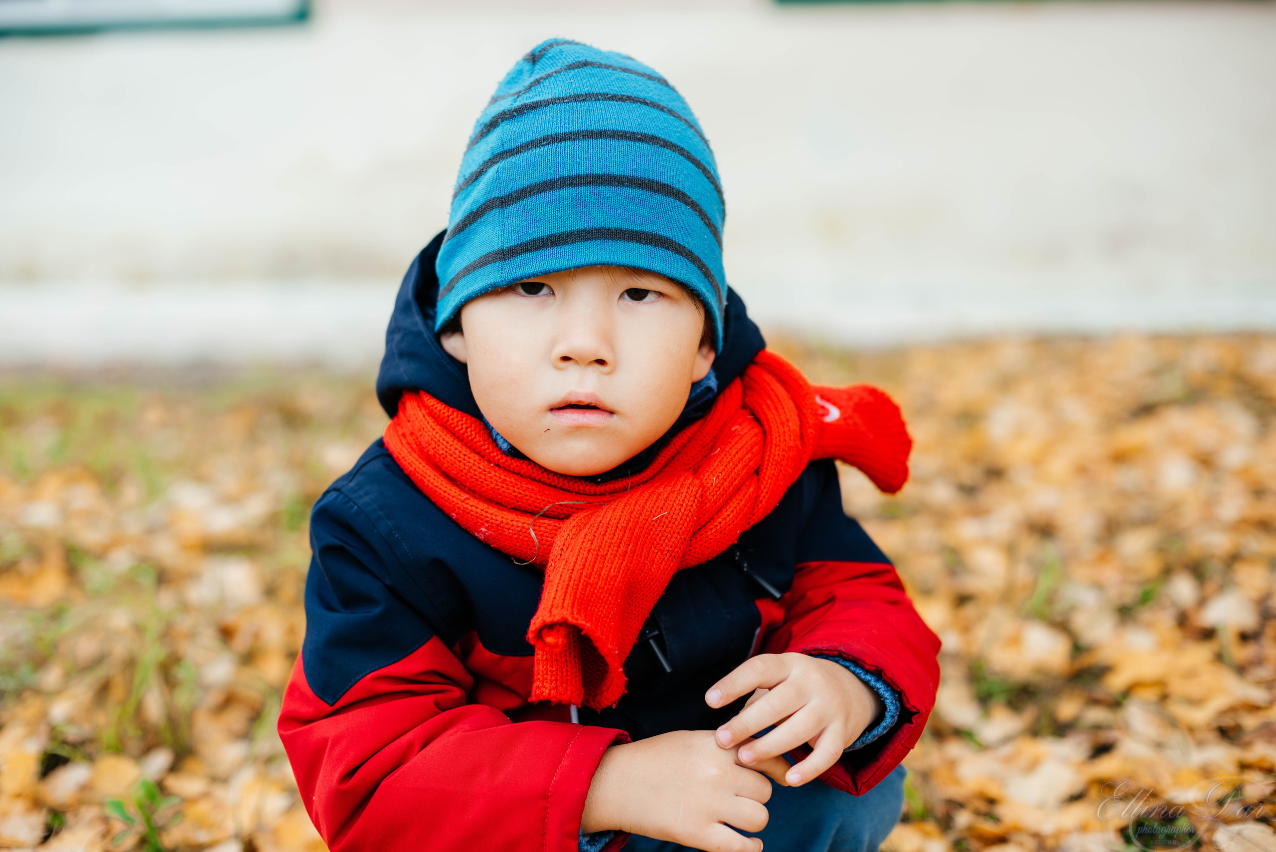 Берёзка на Верхней Березовке. Фотограф Эллина Дар г. Улан-Удэ