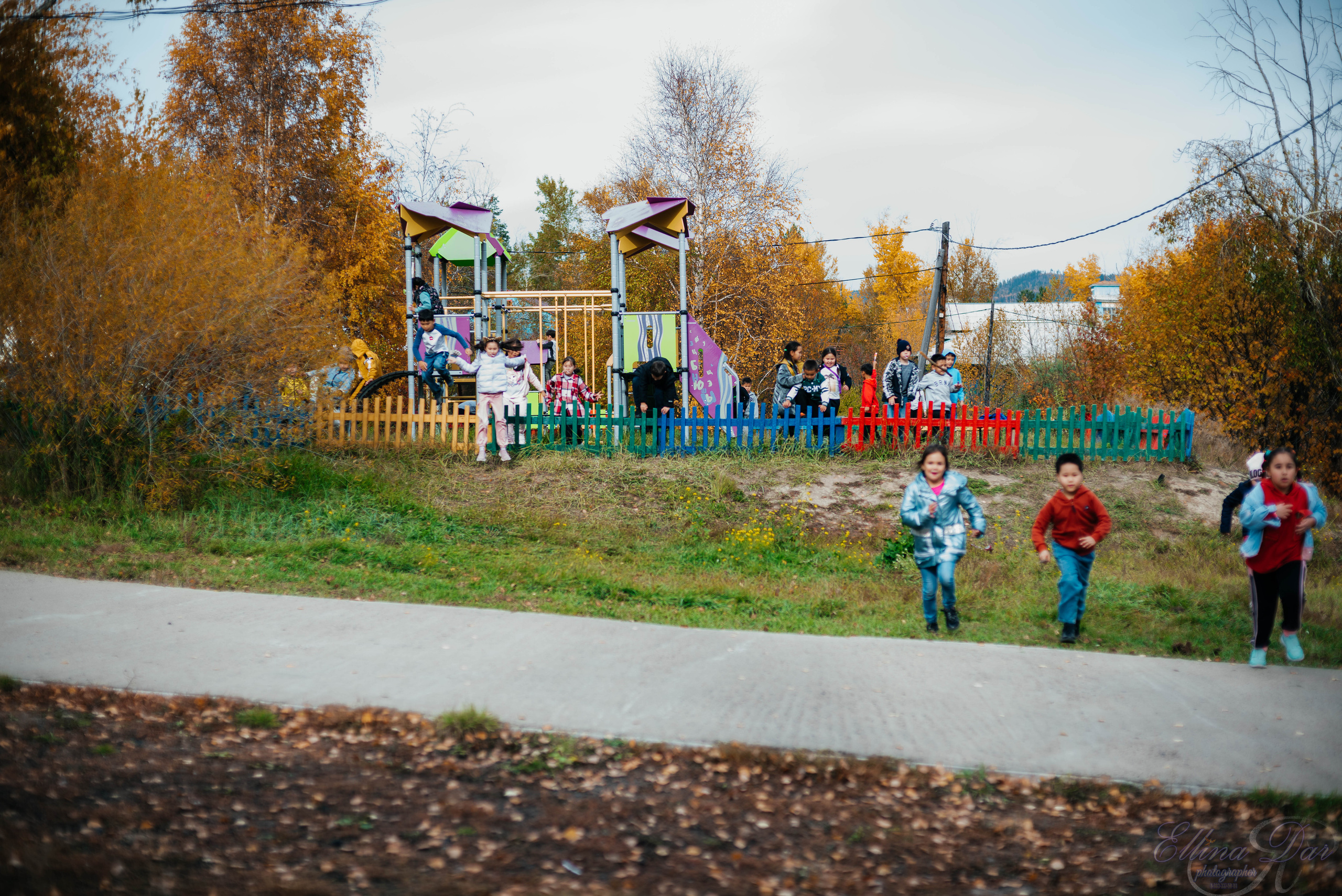 Берёзка на Верхней Березовке. Фотограф Эллина Дар г. Улан-Удэ