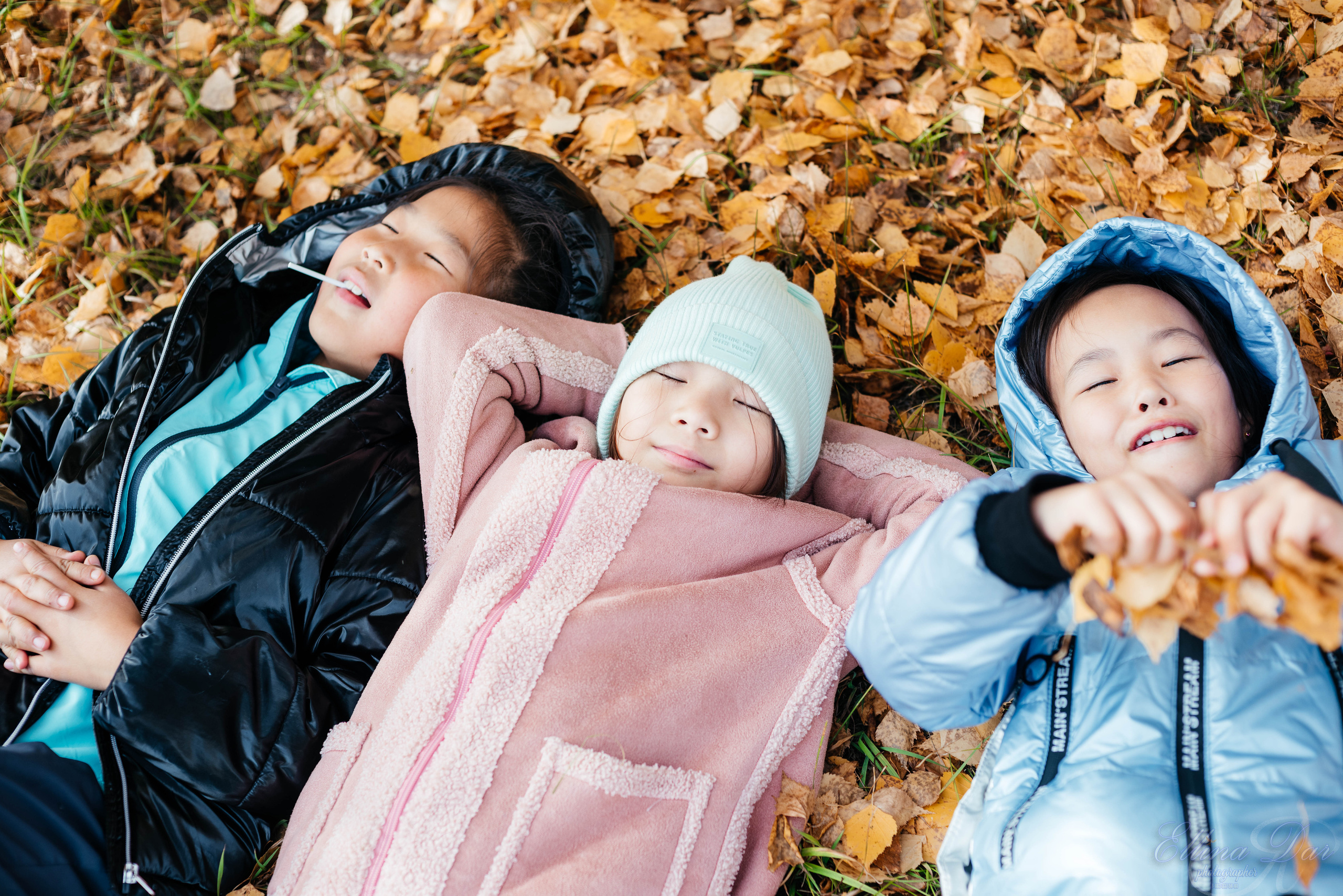 Берёзка на Верхней Березовке. Фотограф Эллина Дар г. Улан-Удэ