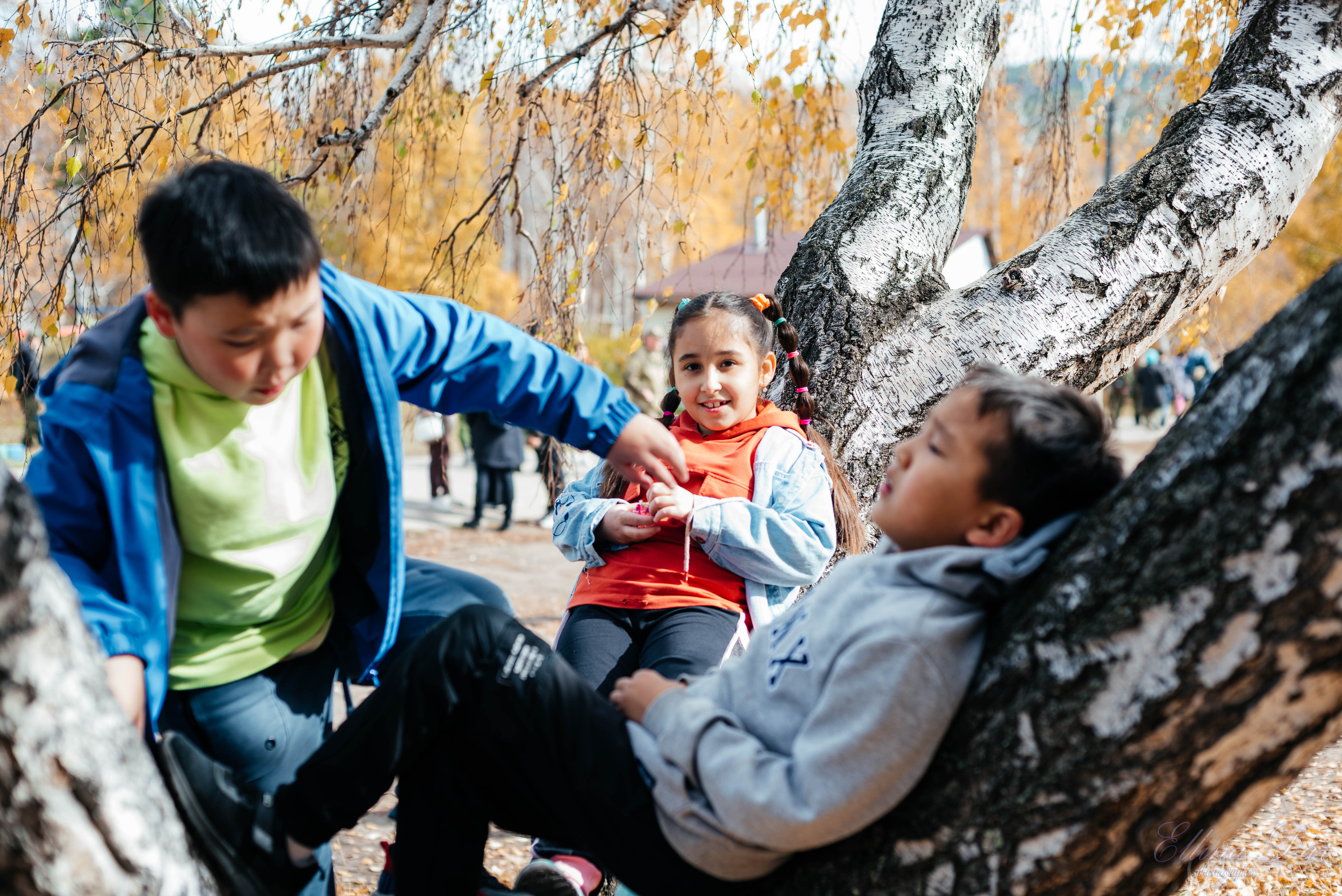 Берёзка на Верхней Березовке. Фотограф Эллина Дар г. Улан-Удэ