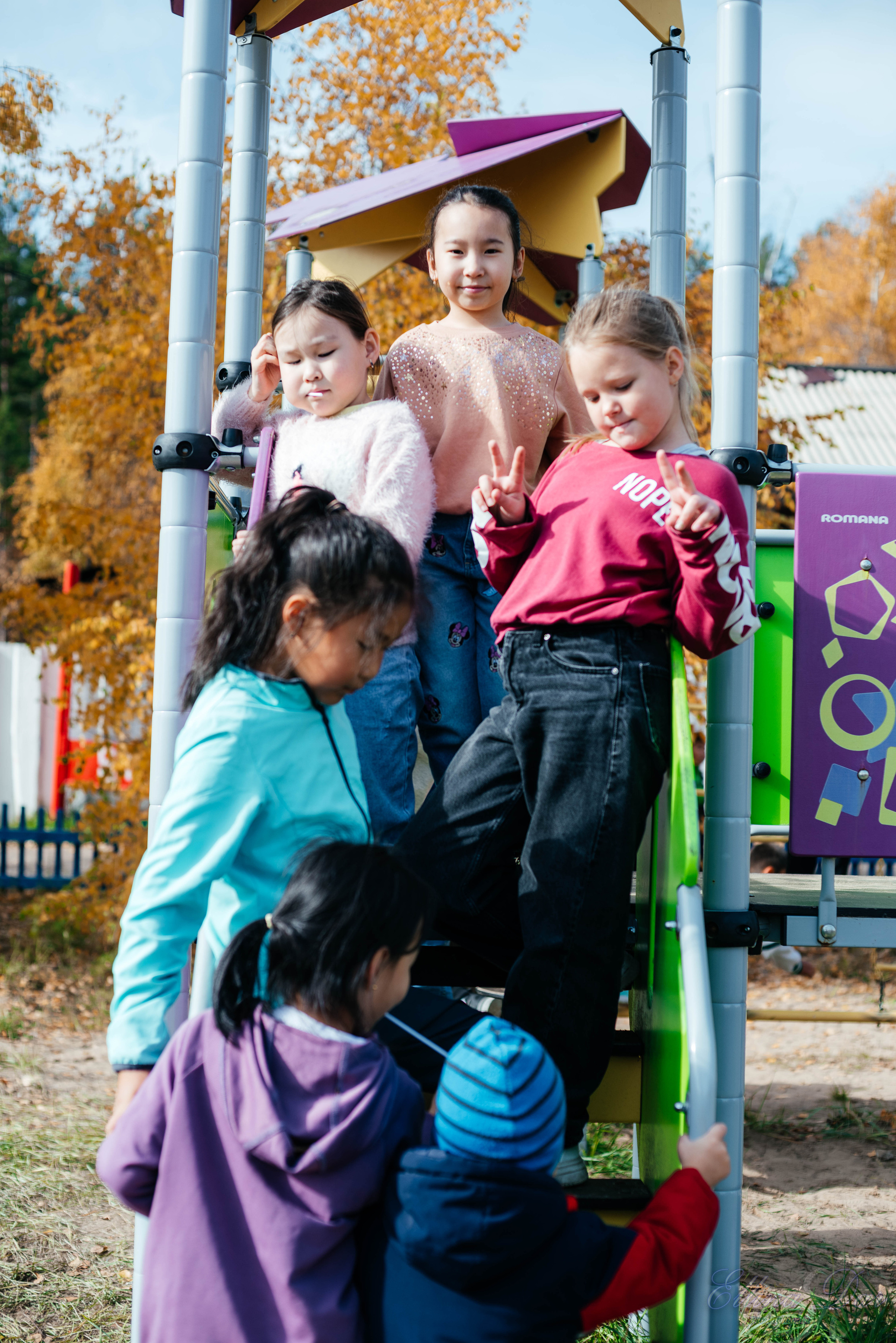 Берёзка на Верхней Березовке. Фотограф Эллина Дар г. Улан-Удэ