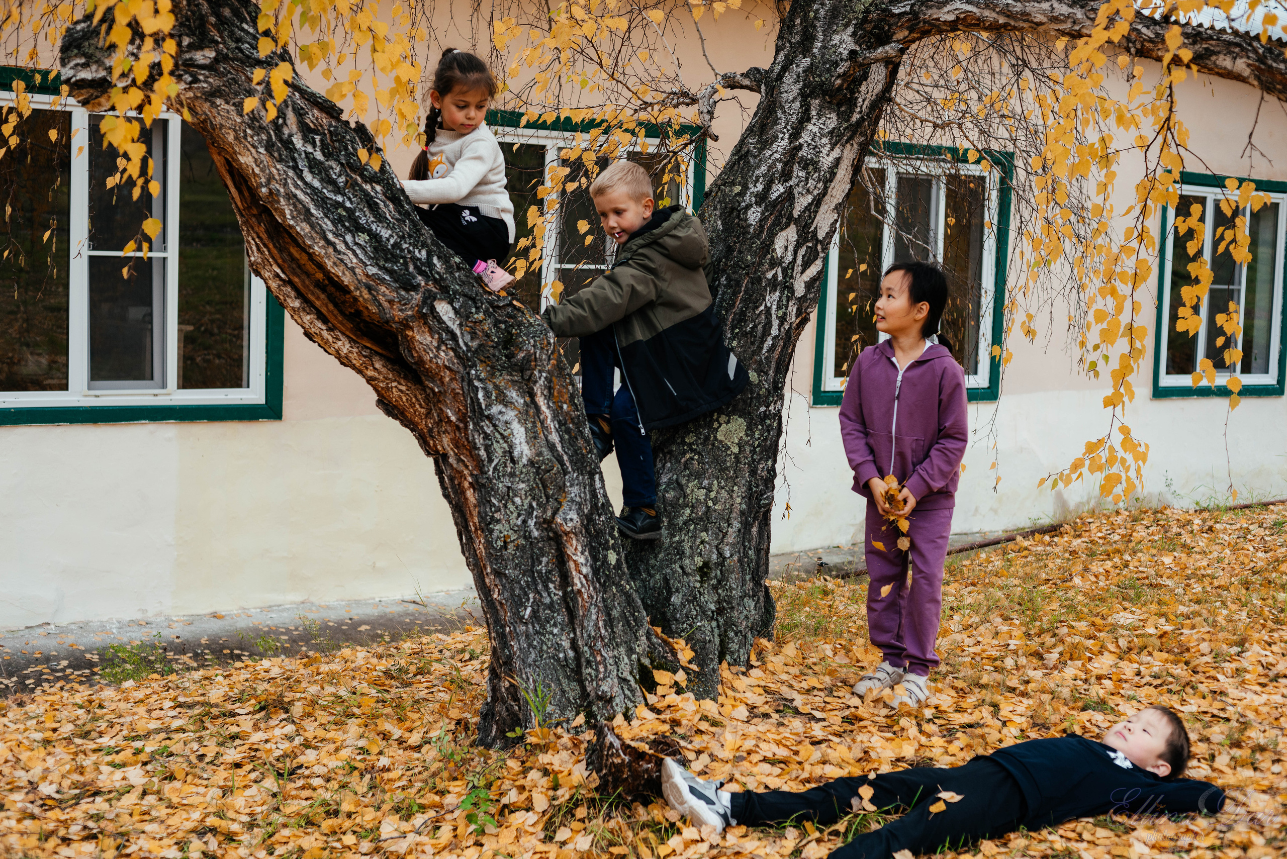 Берёзка на Верхней Березовке. Фотограф Эллина Дар г. Улан-Удэ