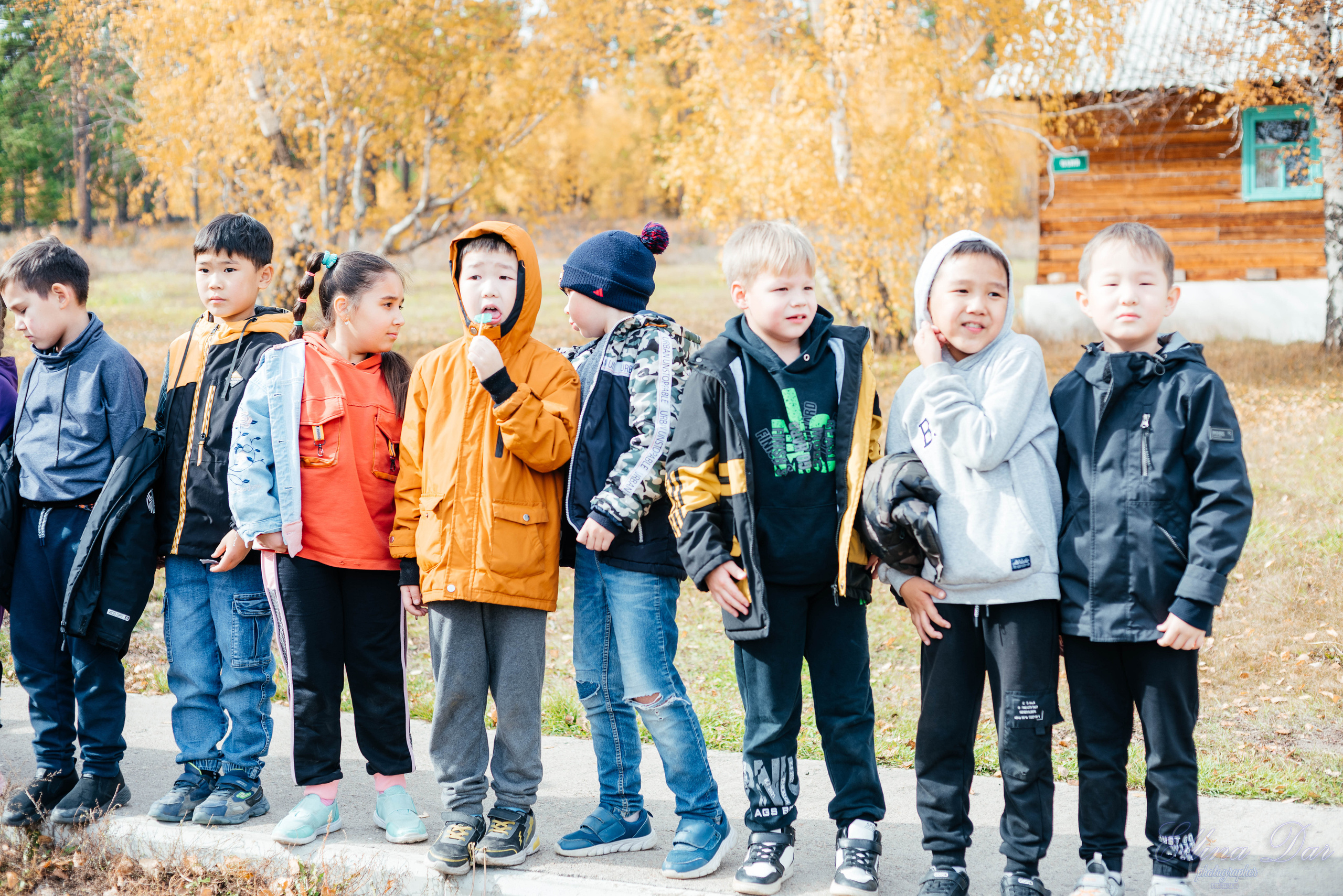 Берёзка на Верхней Березовке. Фотограф Эллина Дар г. Улан-Удэ