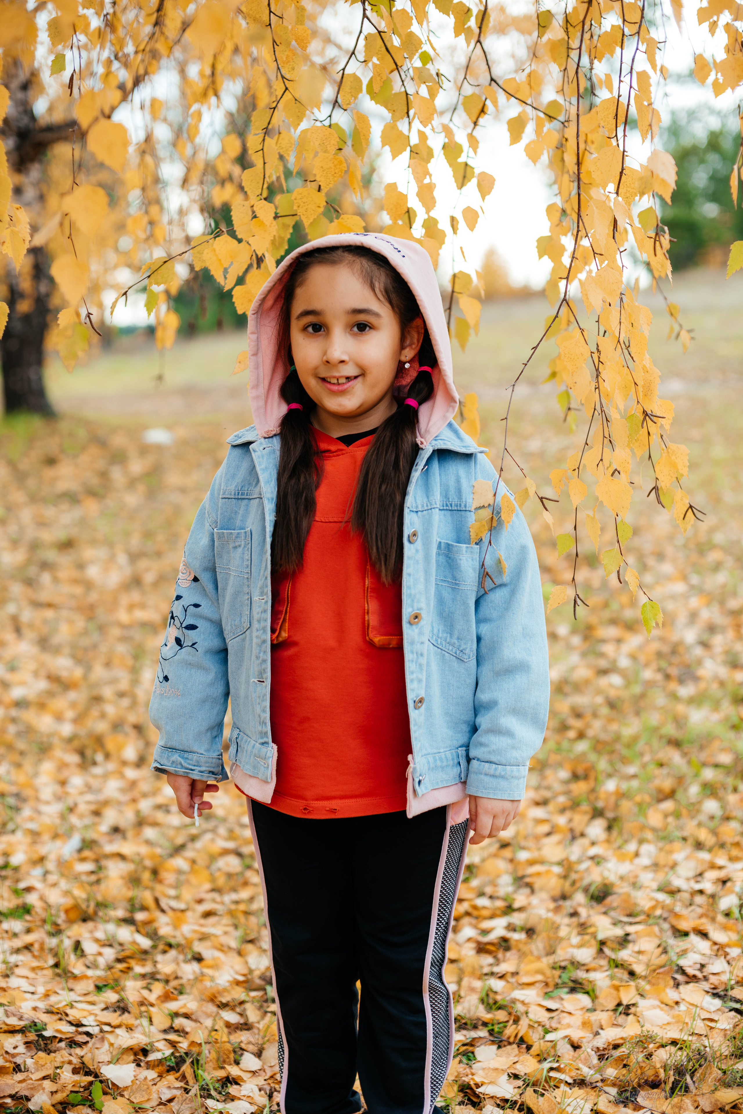 Берёзка на Верхней Березовке. Фотограф Эллина Дар г. Улан-Удэ
