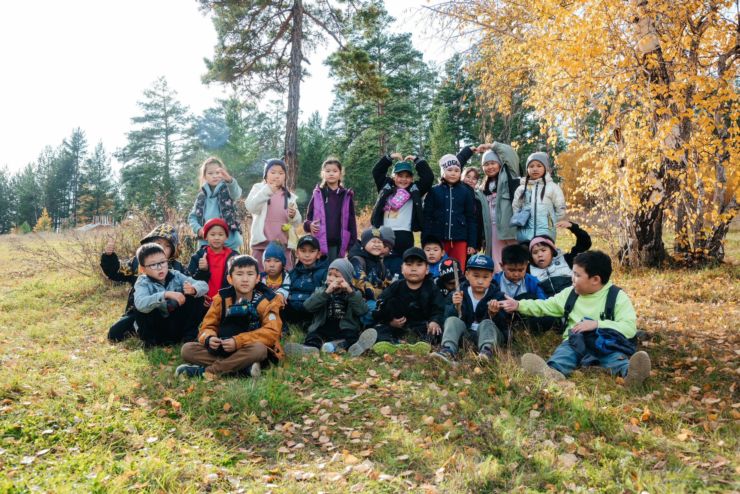 Берёзка на Верхней Березовке. Фотограф Эллина Дар г. Улан-Удэ