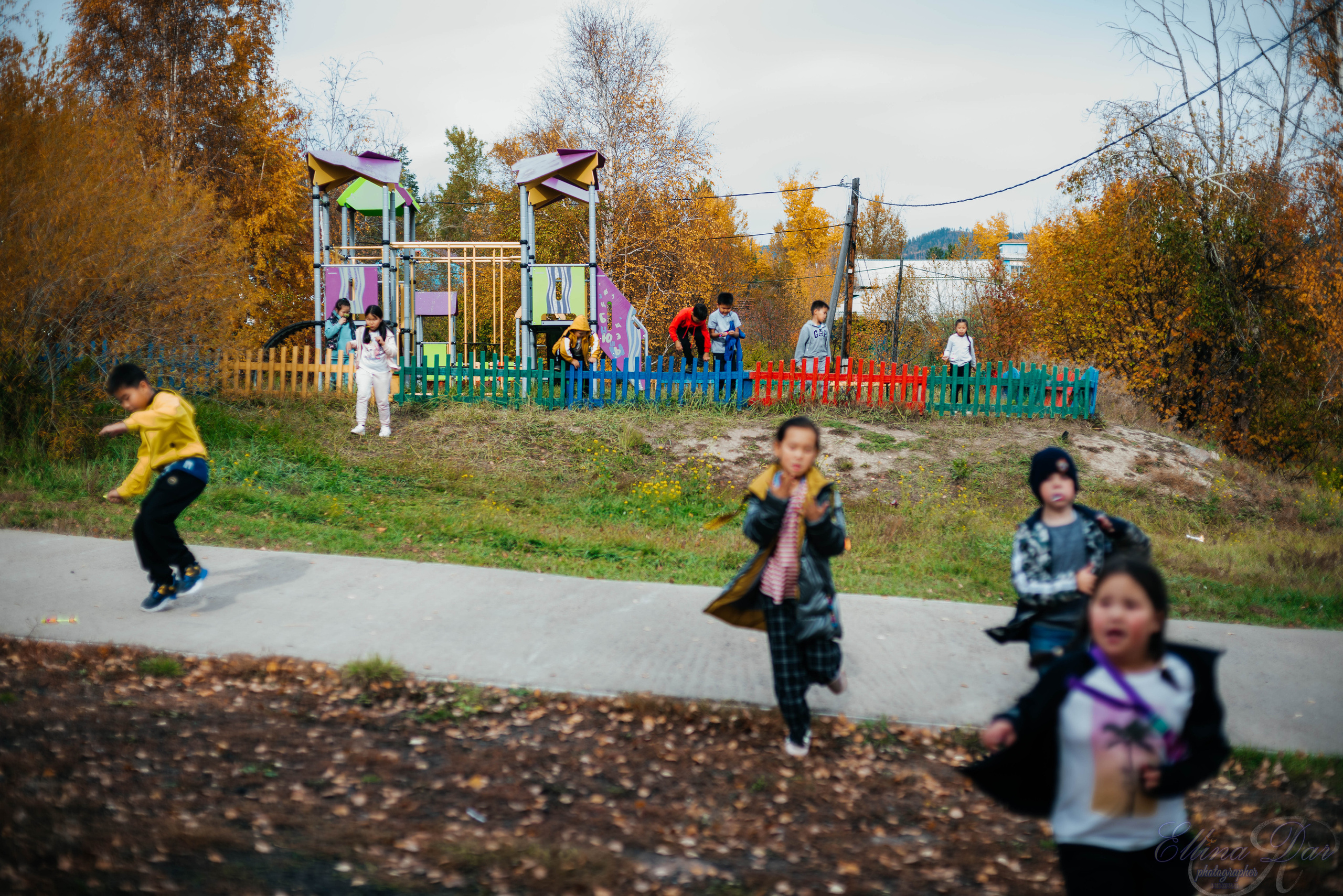 Берёзка на Верхней Березовке. Фотограф Эллина Дар г. Улан-Удэ