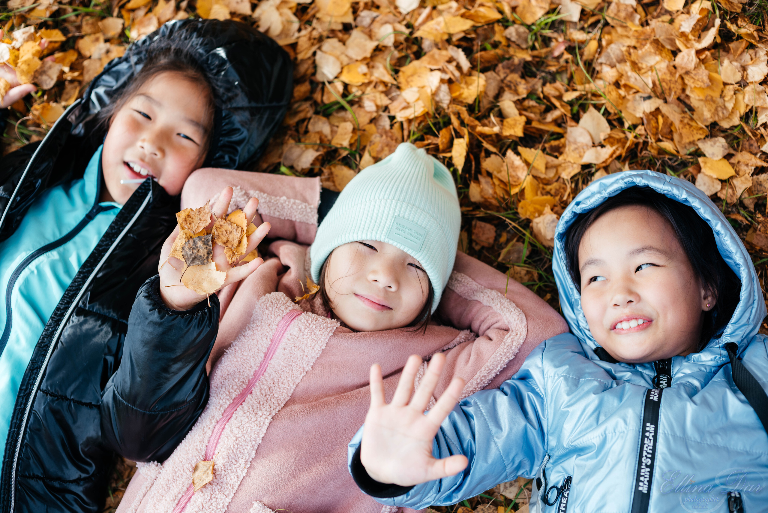 Берёзка на Верхней Березовке. Фотограф Эллина Дар г. Улан-Удэ
