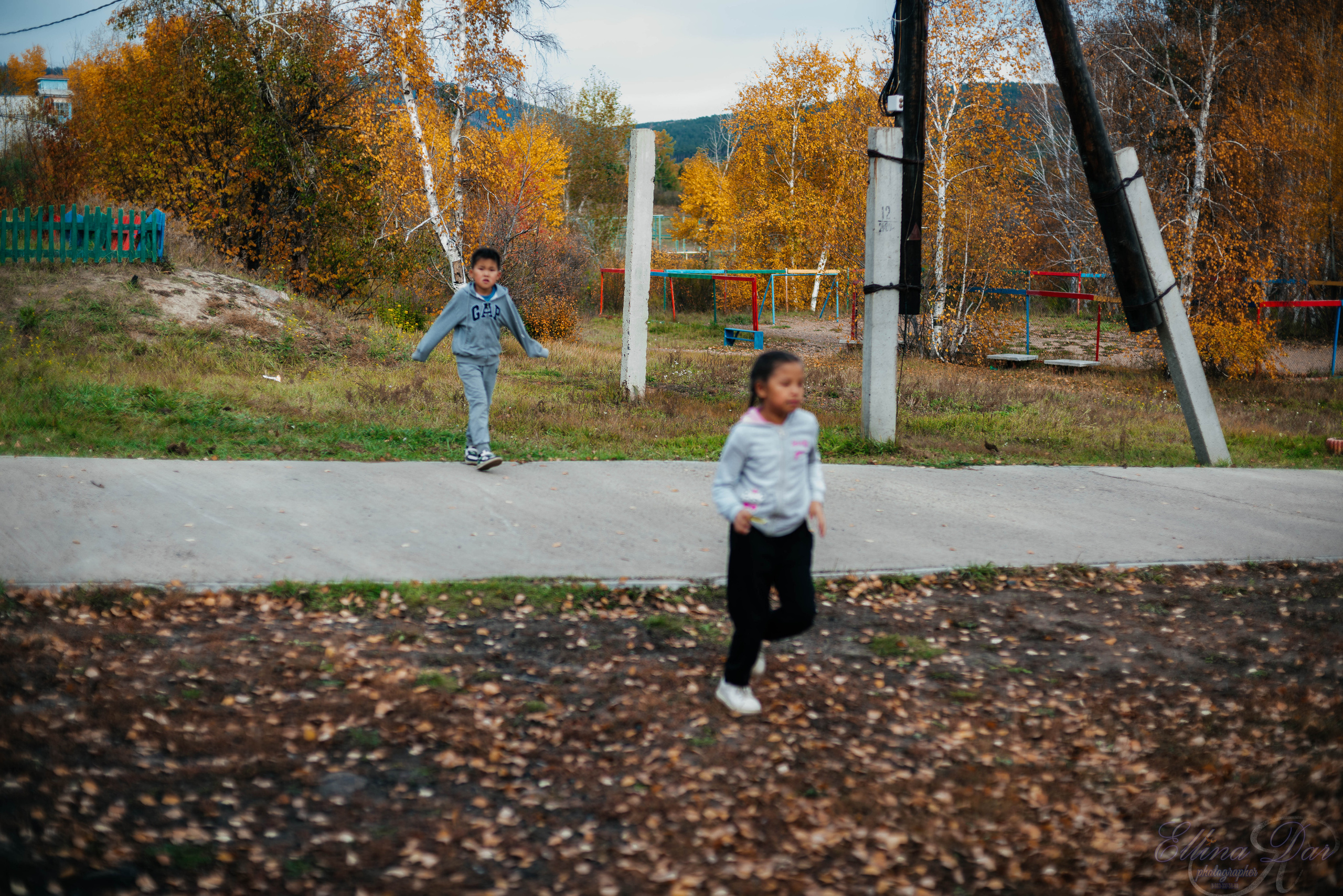 Берёзка на Верхней Березовке. Фотограф Эллина Дар г. Улан-Удэ