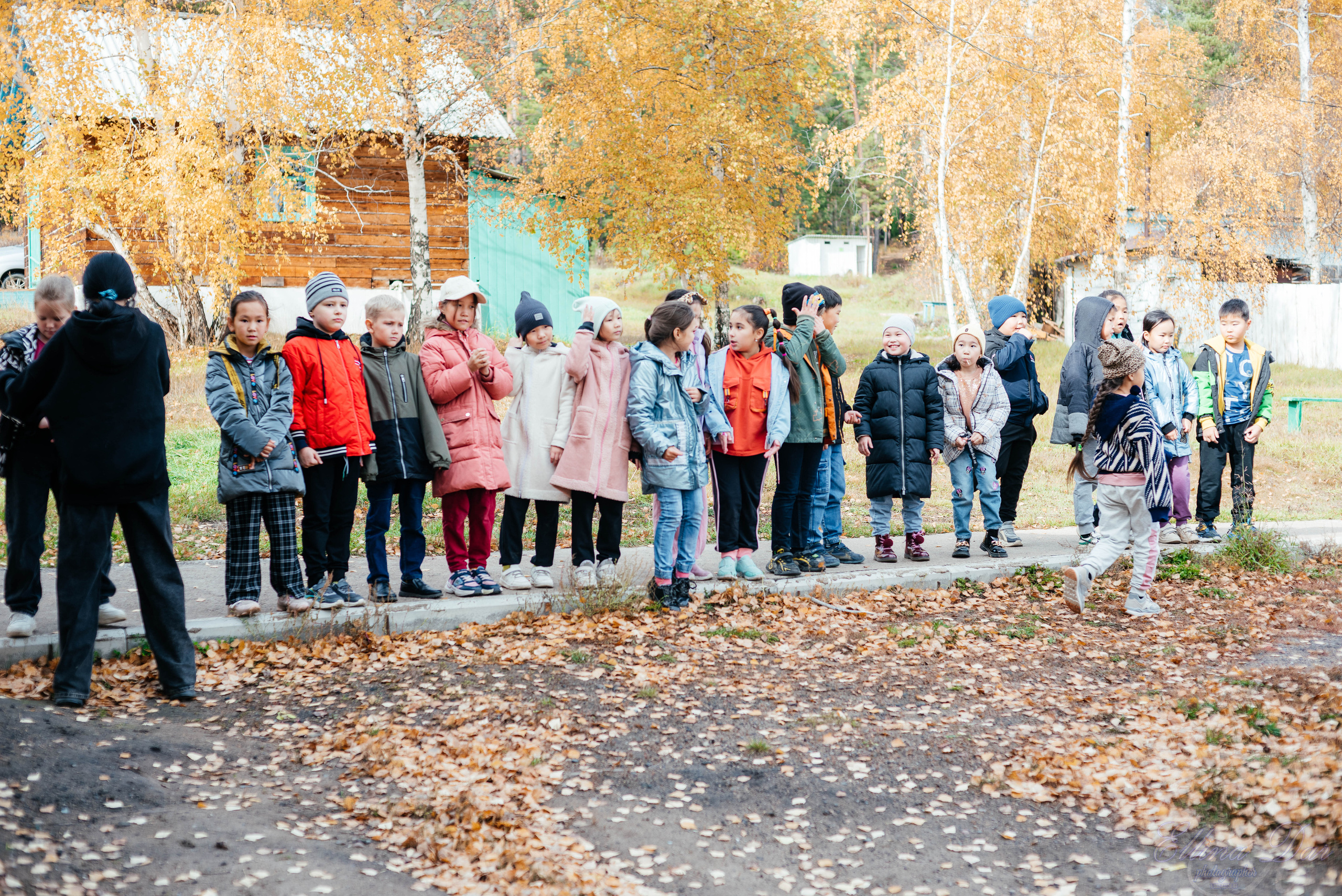 Берёзка на Верхней Березовке. Фотограф Эллина Дар г. Улан-Удэ