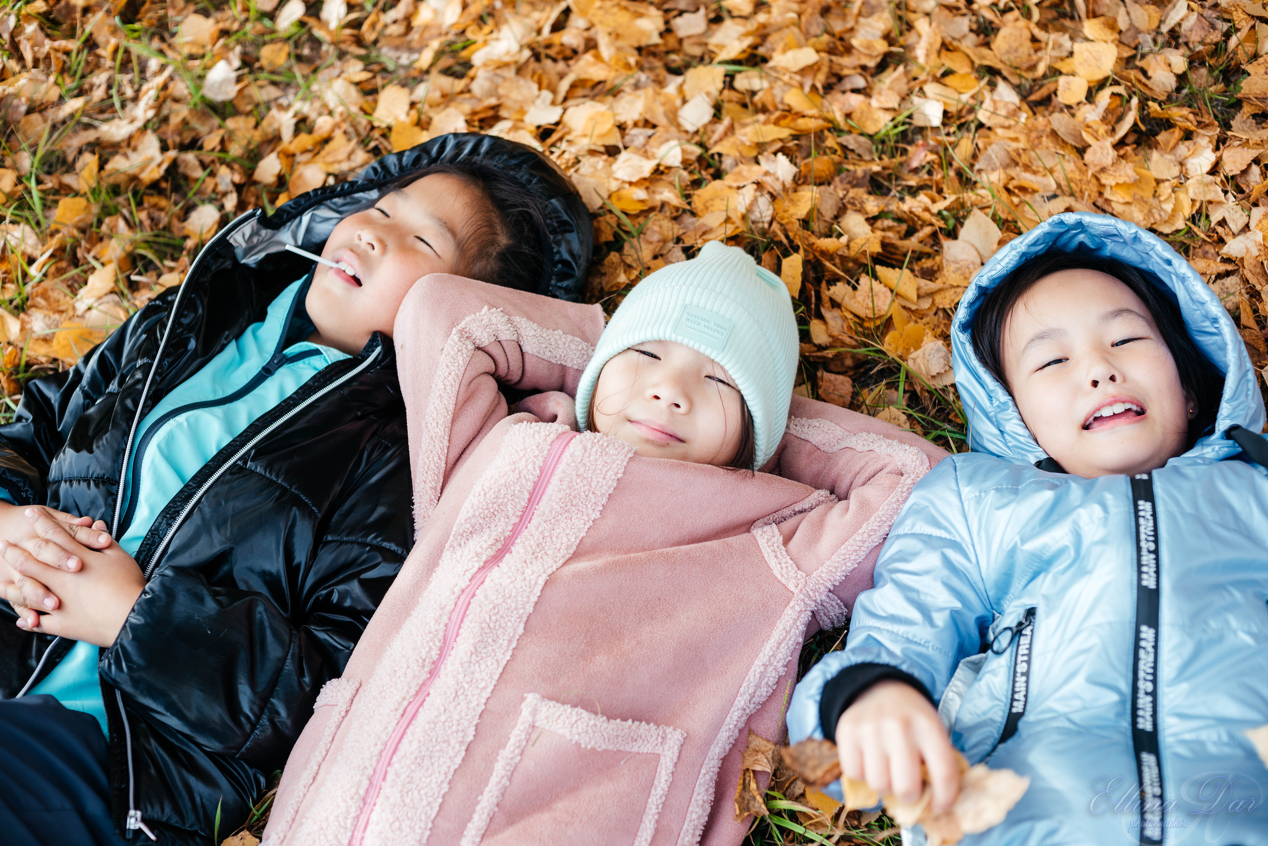 Берёзка на Верхней Березовке. Фотограф Эллина Дар г. Улан-Удэ