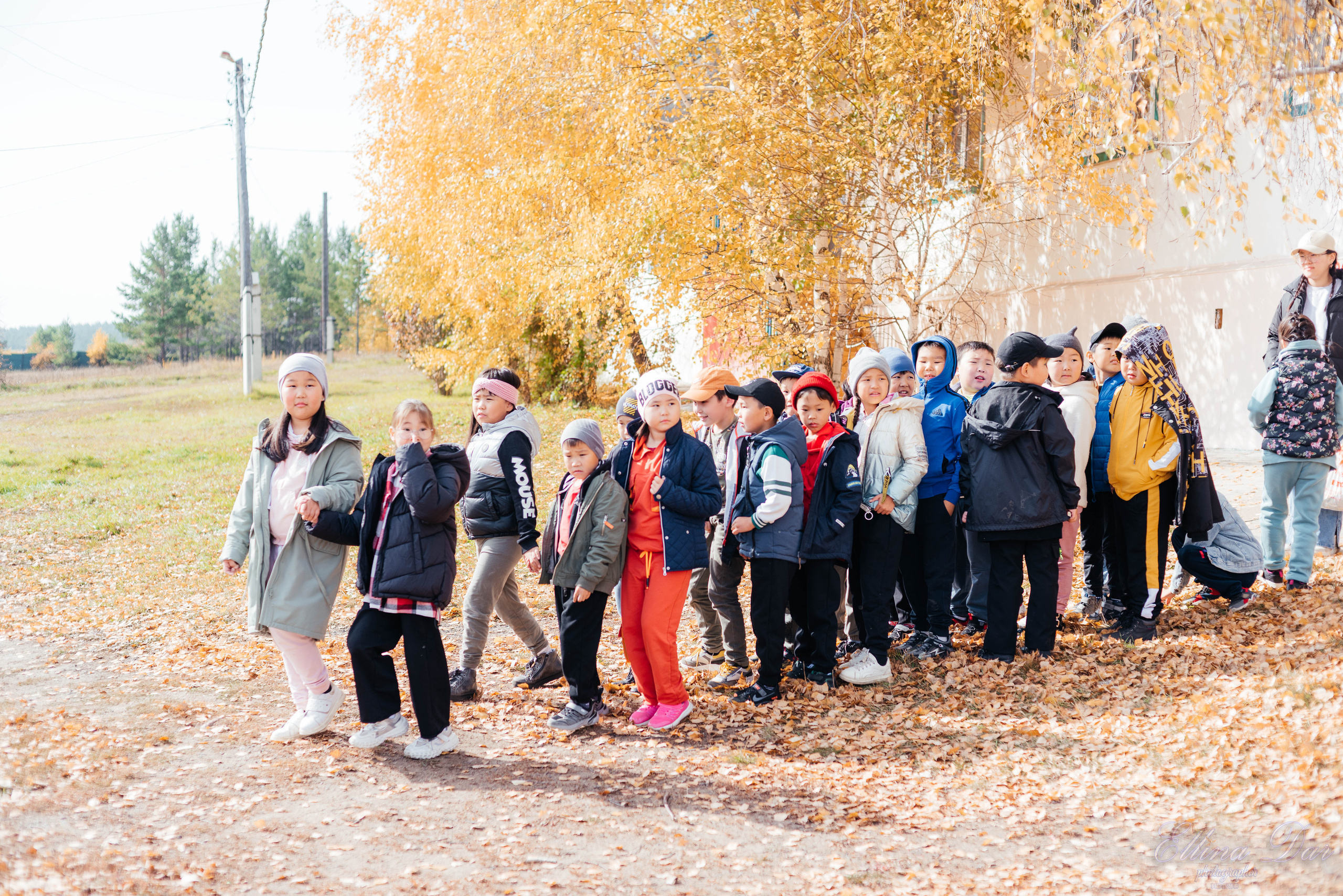 Берёзка на Верхней Березовке. Фотограф Эллина Дар г. Улан-Удэ