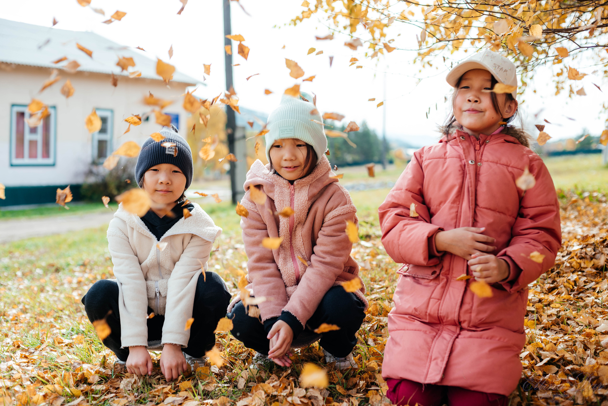 Берёзка на Верхней Березовке. Фотограф Эллина Дар г. Улан-Удэ