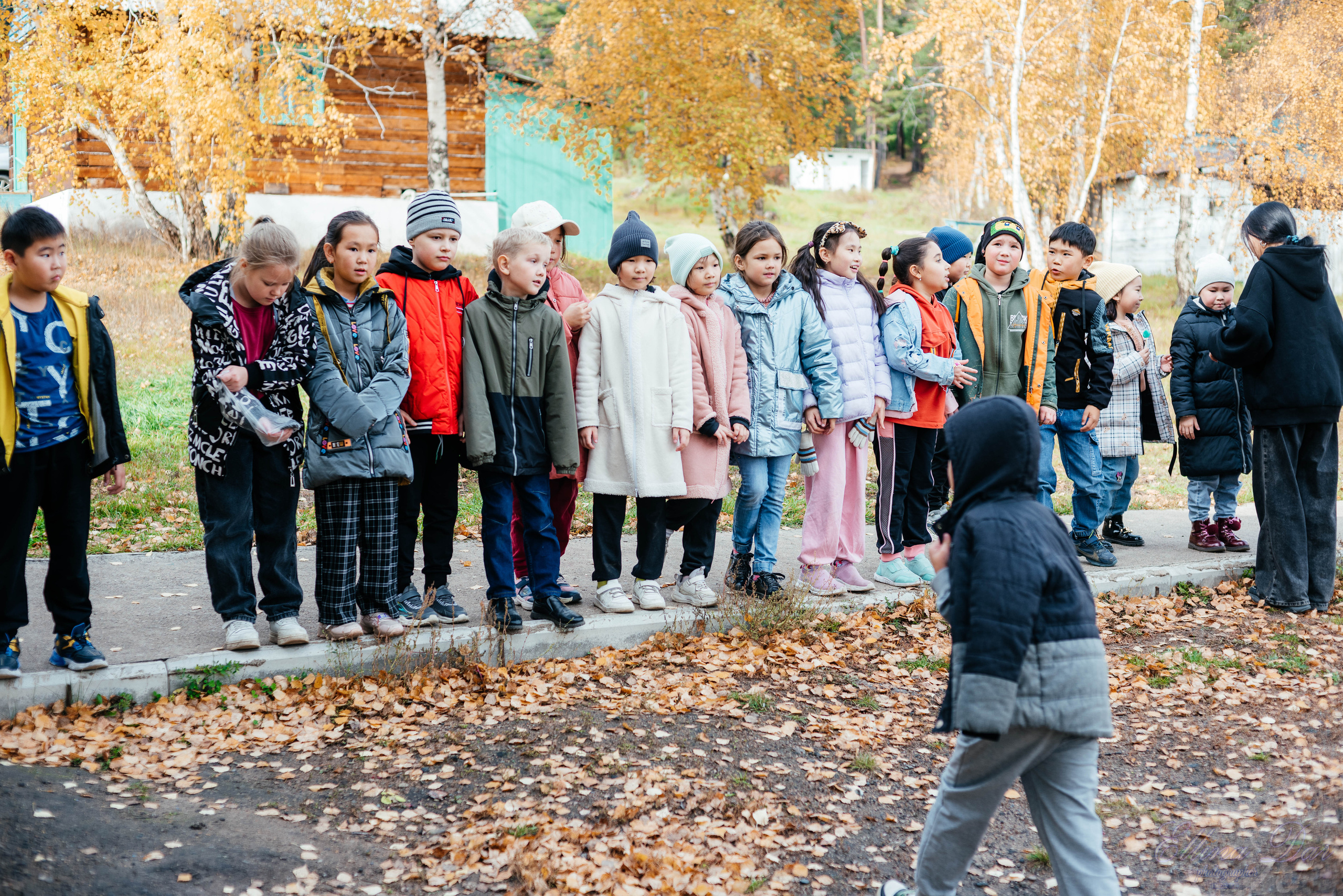 Берёзка на Верхней Березовке. Фотограф Эллина Дар г. Улан-Удэ