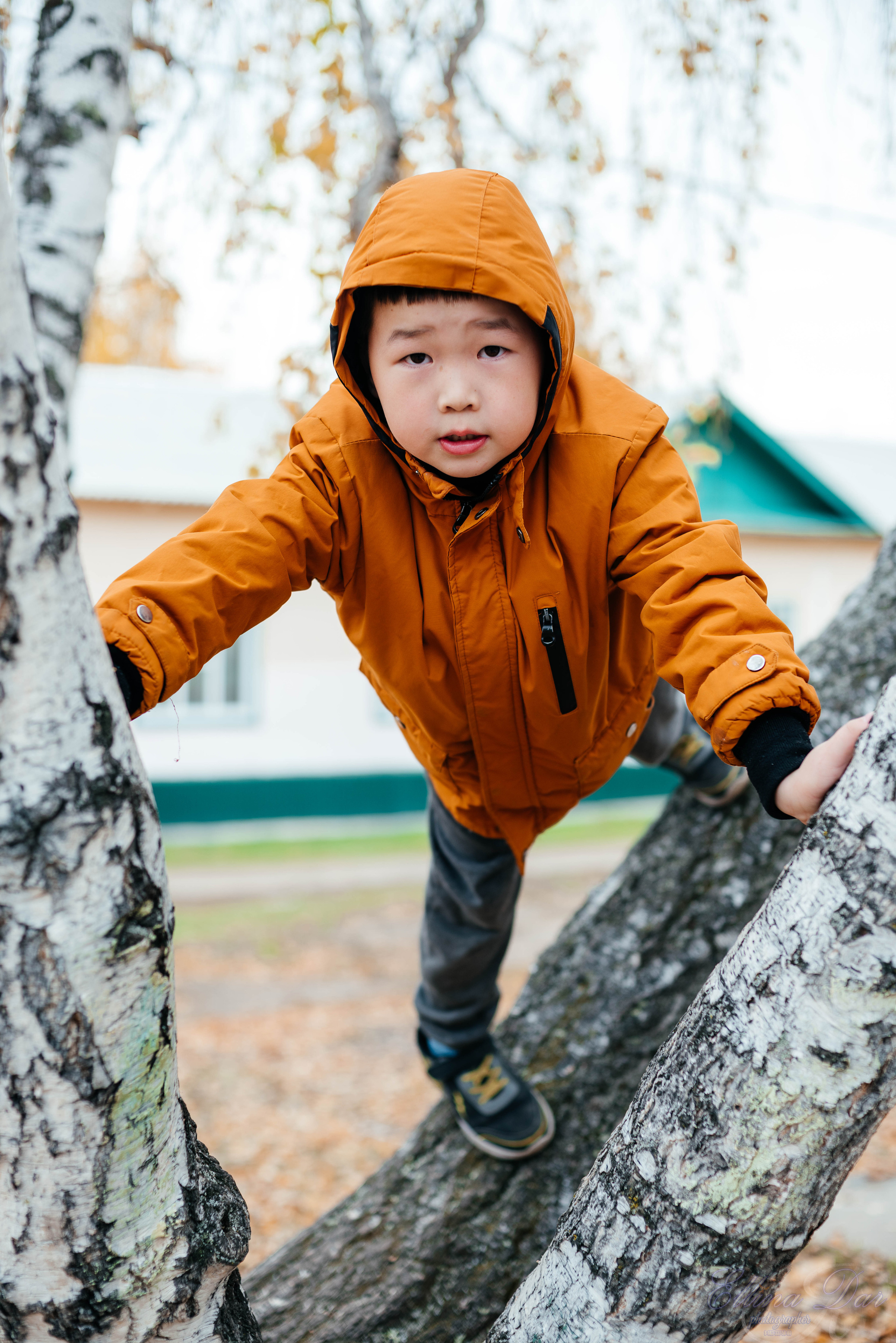 Берёзка на Верхней Березовке. Фотограф Эллина Дар г. Улан-Удэ