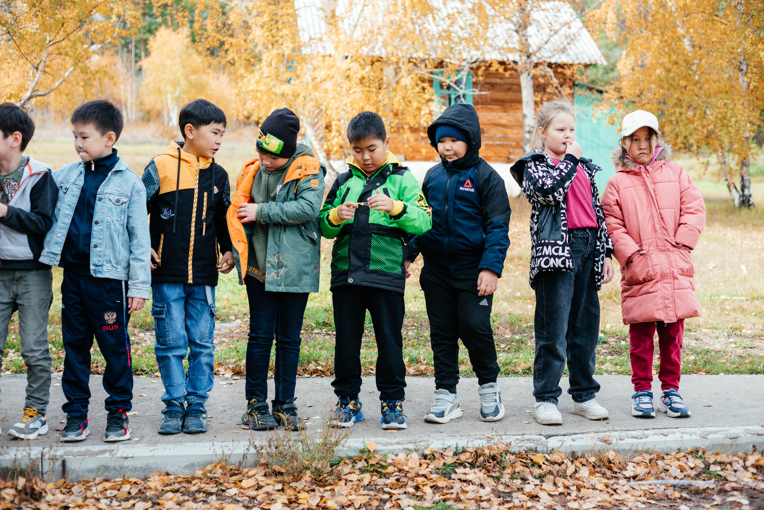 Берёзка на Верхней Березовке. Фотограф Эллина Дар г. Улан-Удэ