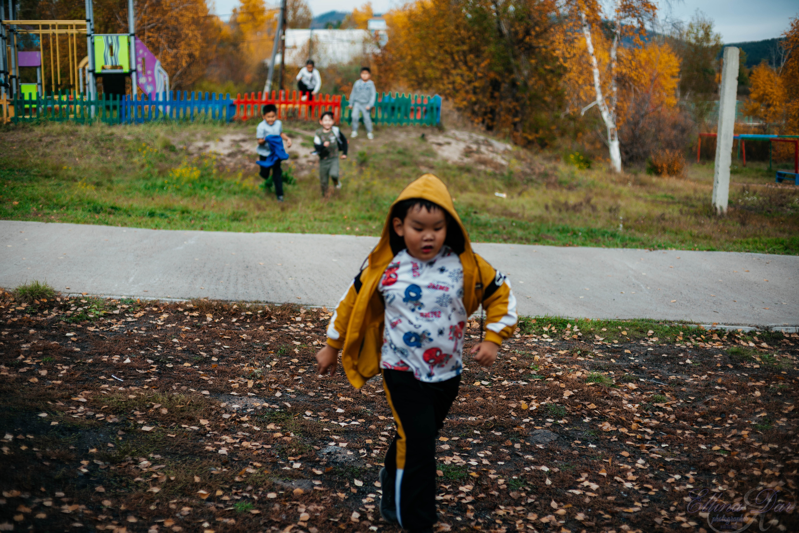 Берёзка на Верхней Березовке. Фотограф Эллина Дар г. Улан-Удэ