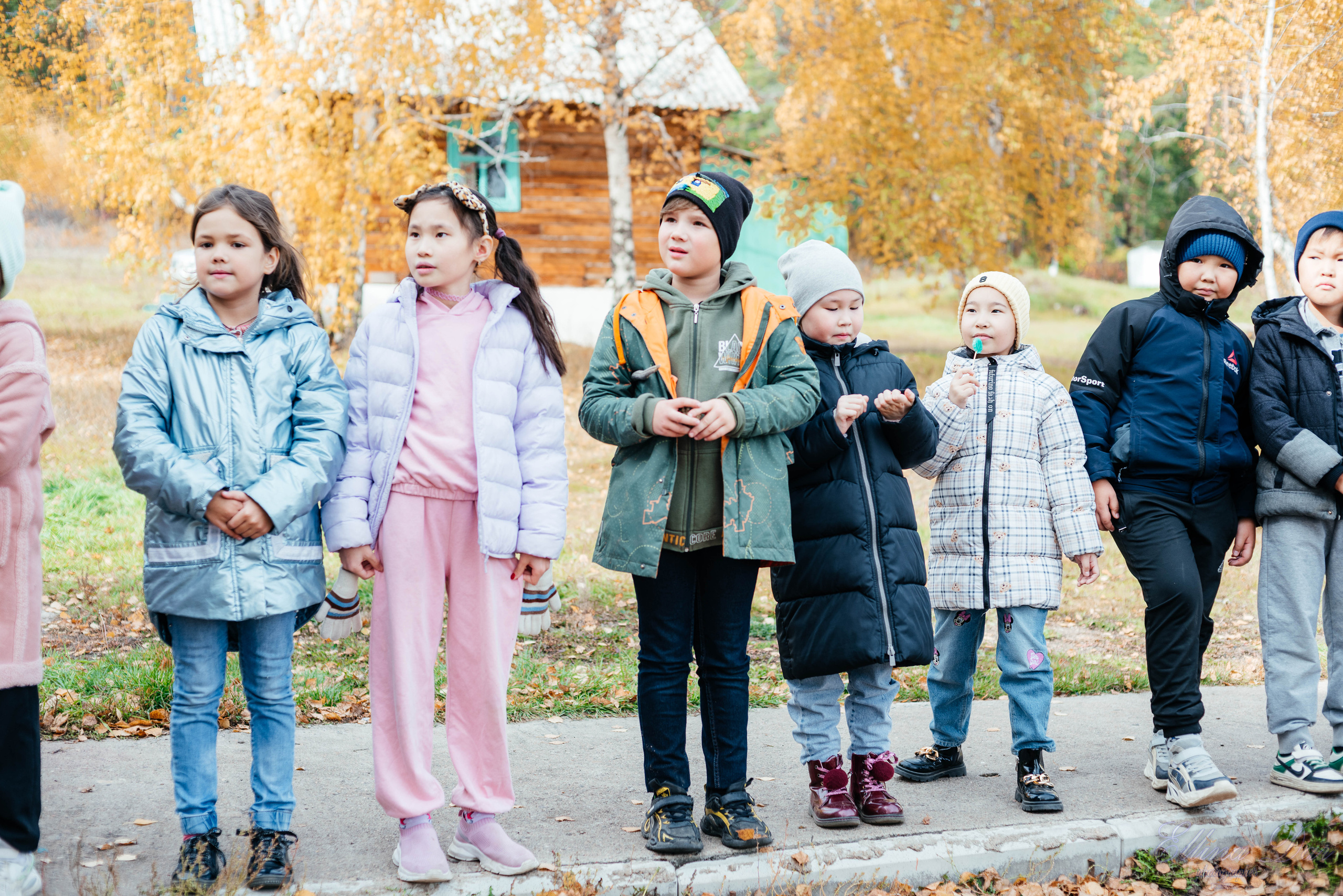 Берёзка на Верхней Березовке. Фотограф Эллина Дар г. Улан-Удэ