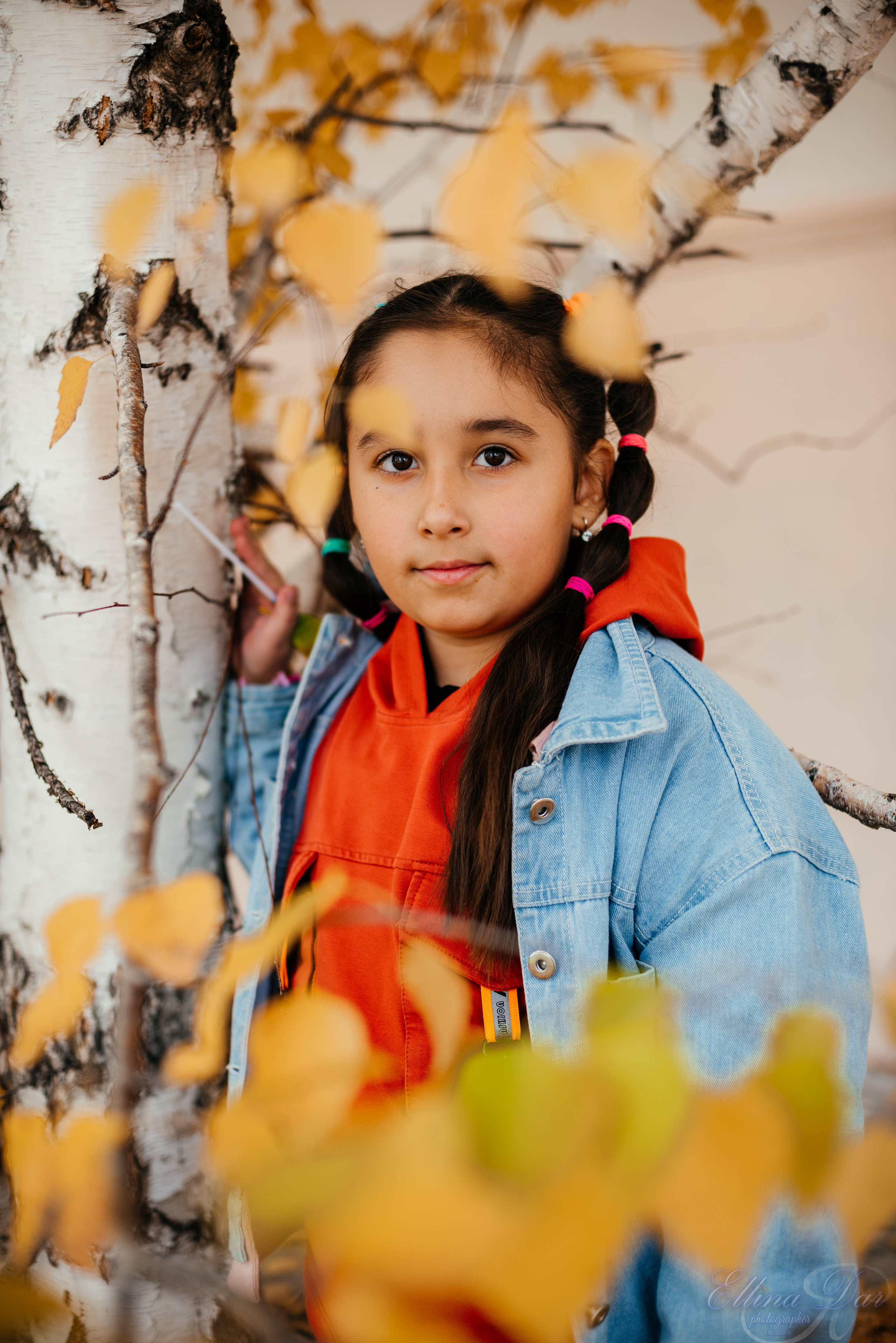 Берёзка на Верхней Березовке. Фотограф Эллина Дар г. Улан-Удэ