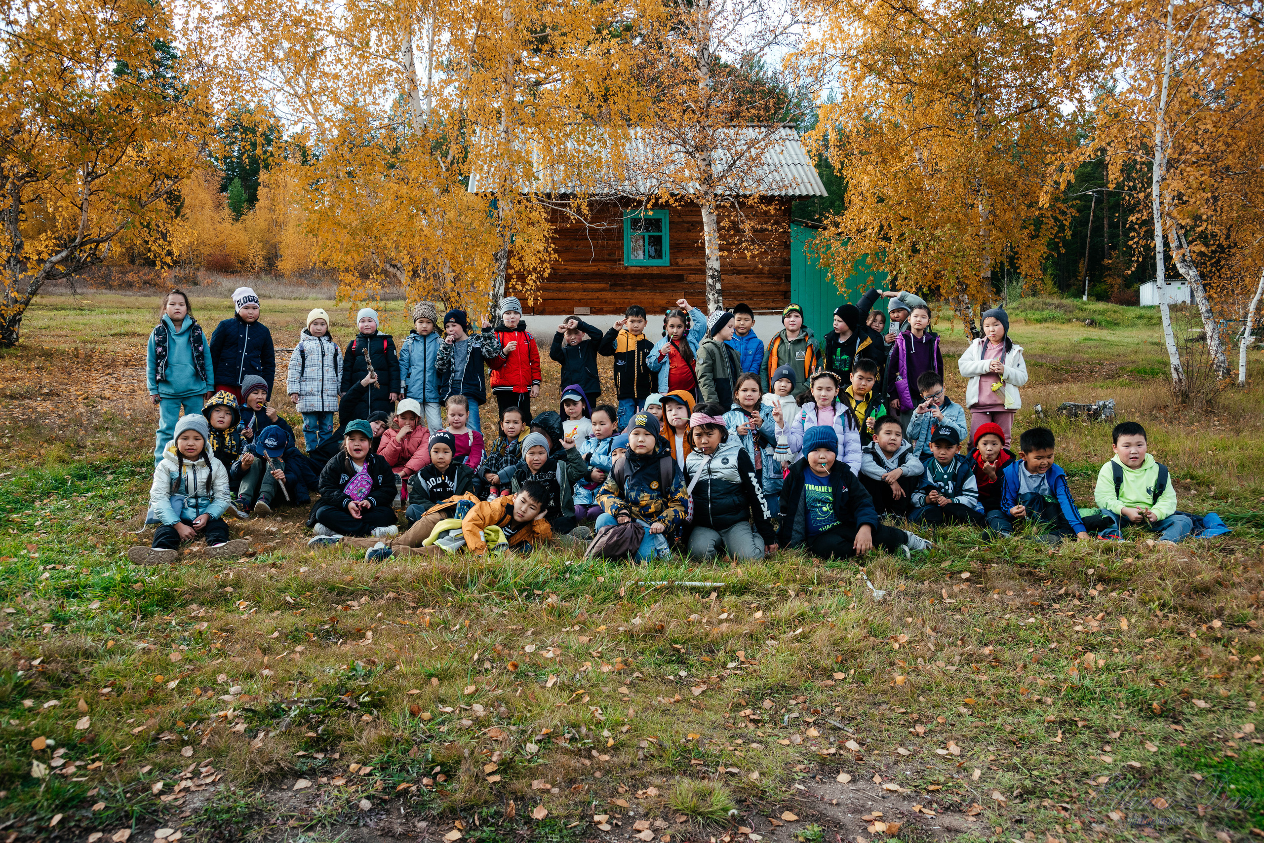Берёзка на Верхней Березовке. Фотограф Эллина Дар г. Улан-Удэ