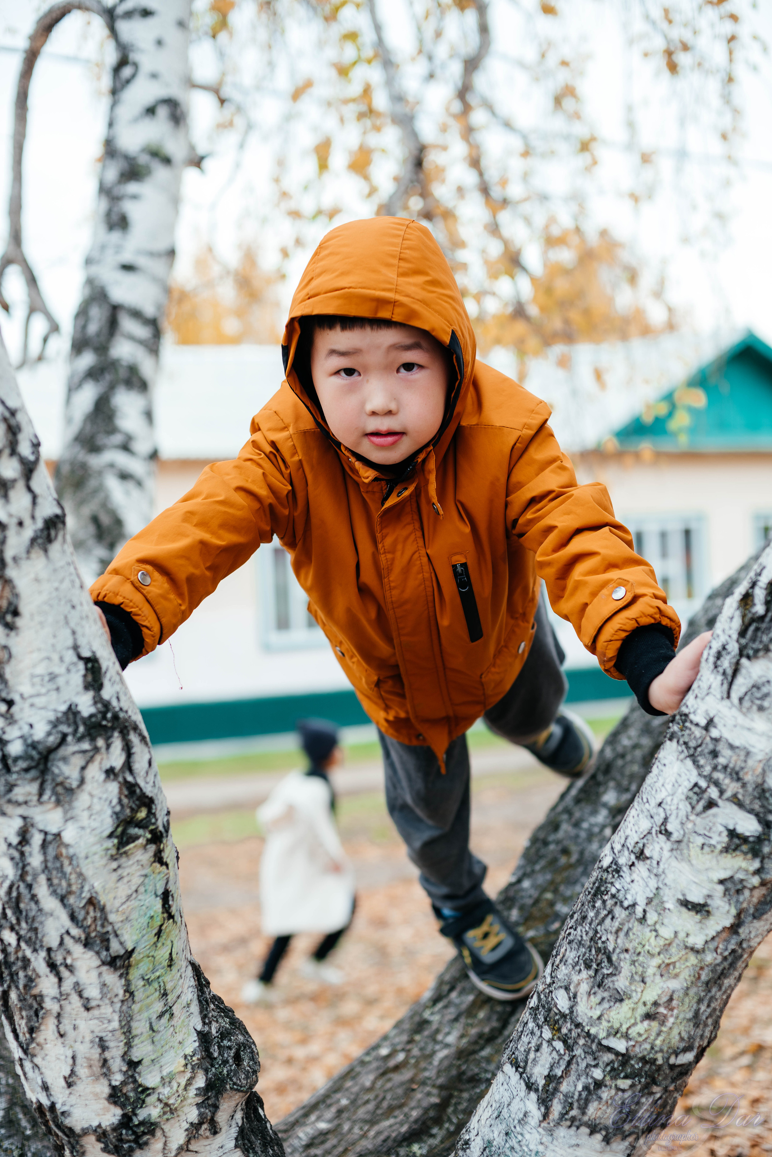Берёзка на Верхней Березовке. Фотограф Эллина Дар г. Улан-Удэ