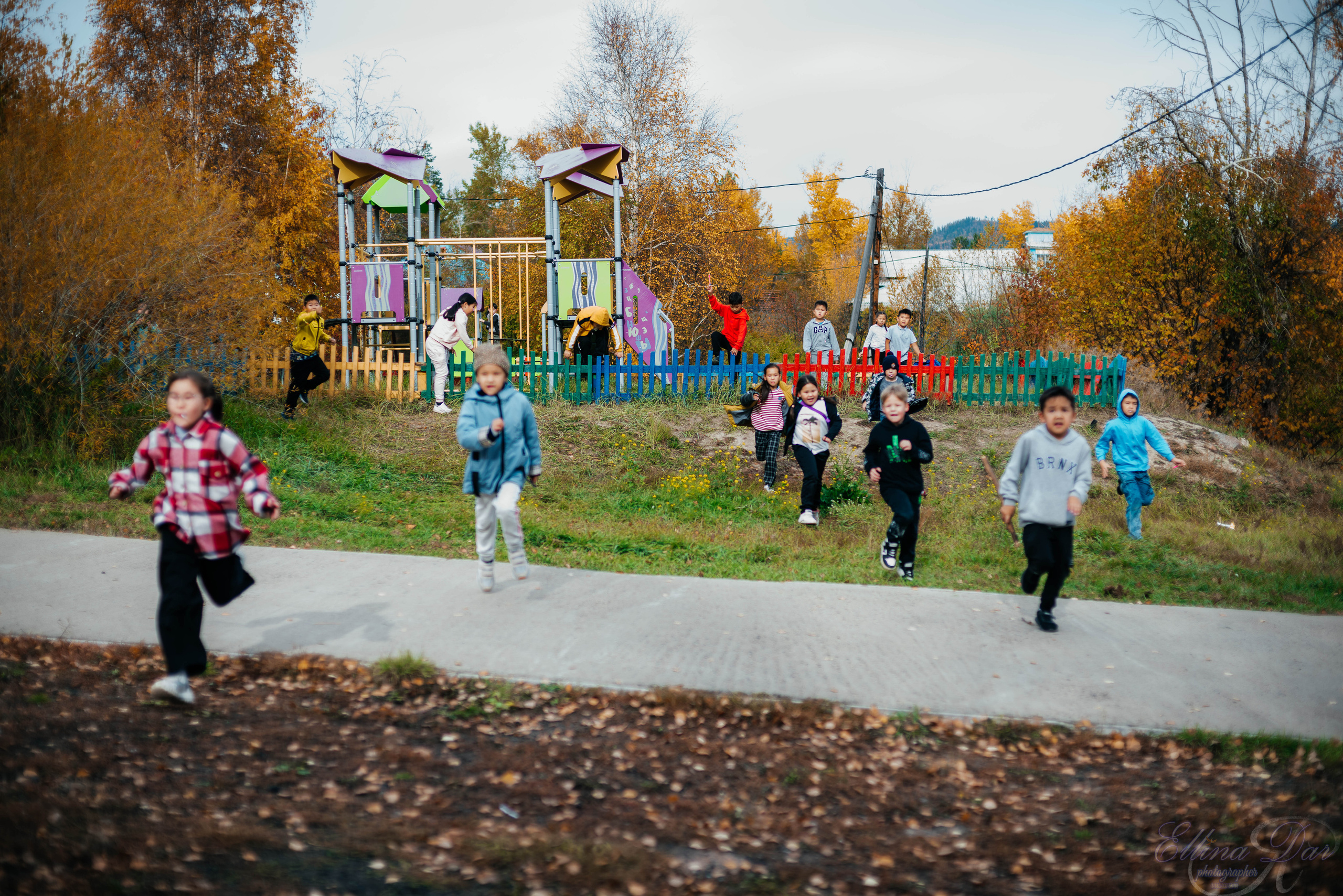 Берёзка на Верхней Березовке. Фотограф Эллина Дар г. Улан-Удэ