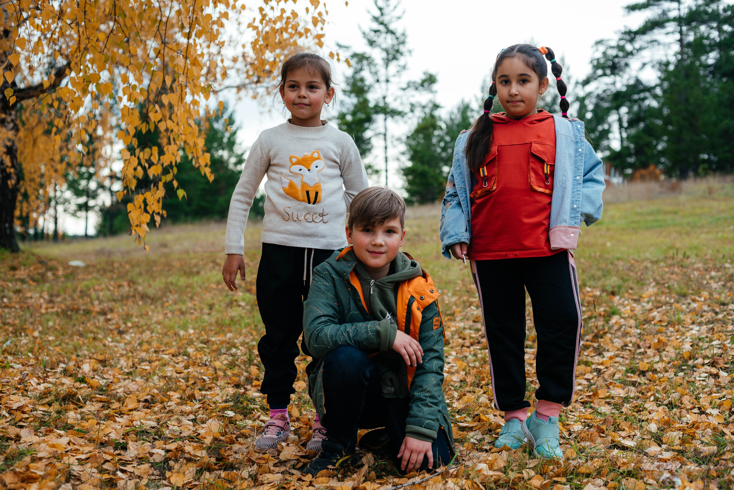 Берёзка на Верхней Березовке. Фотограф Эллина Дар г. Улан-Удэ