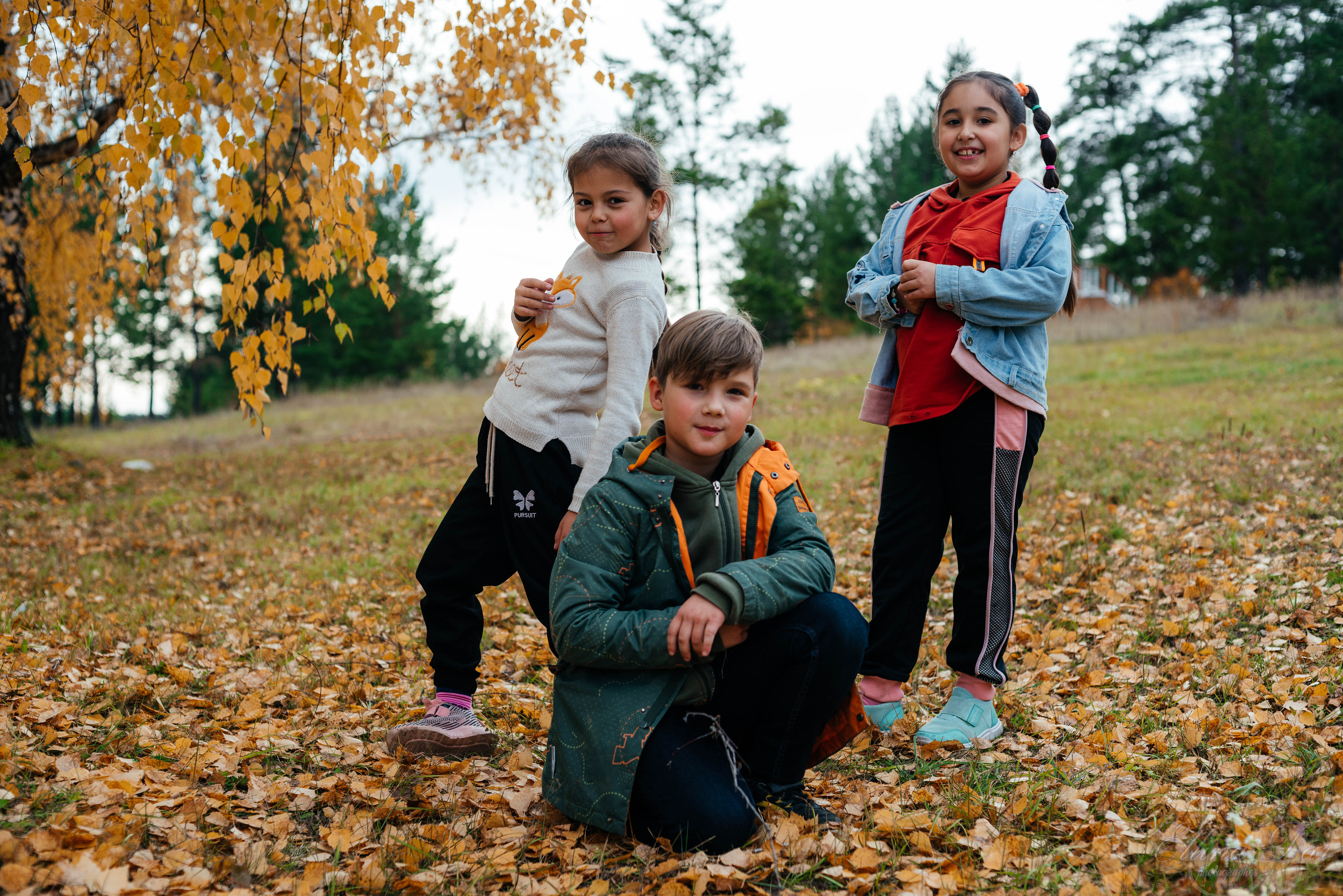 Берёзка на Верхней Березовке. Фотограф Эллина Дар г. Улан-Удэ