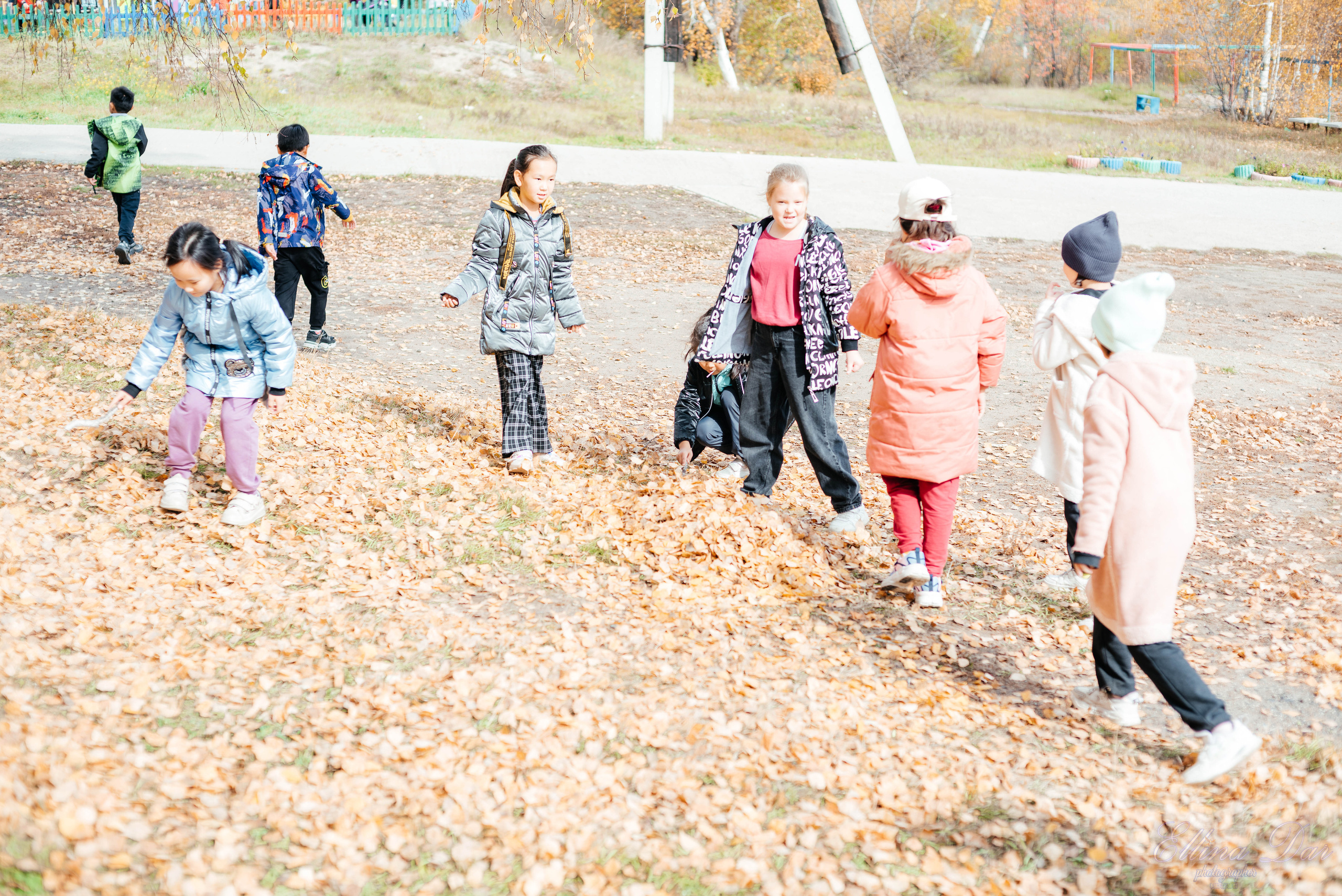 Берёзка на Верхней Березовке. Фотограф Эллина Дар г. Улан-Удэ