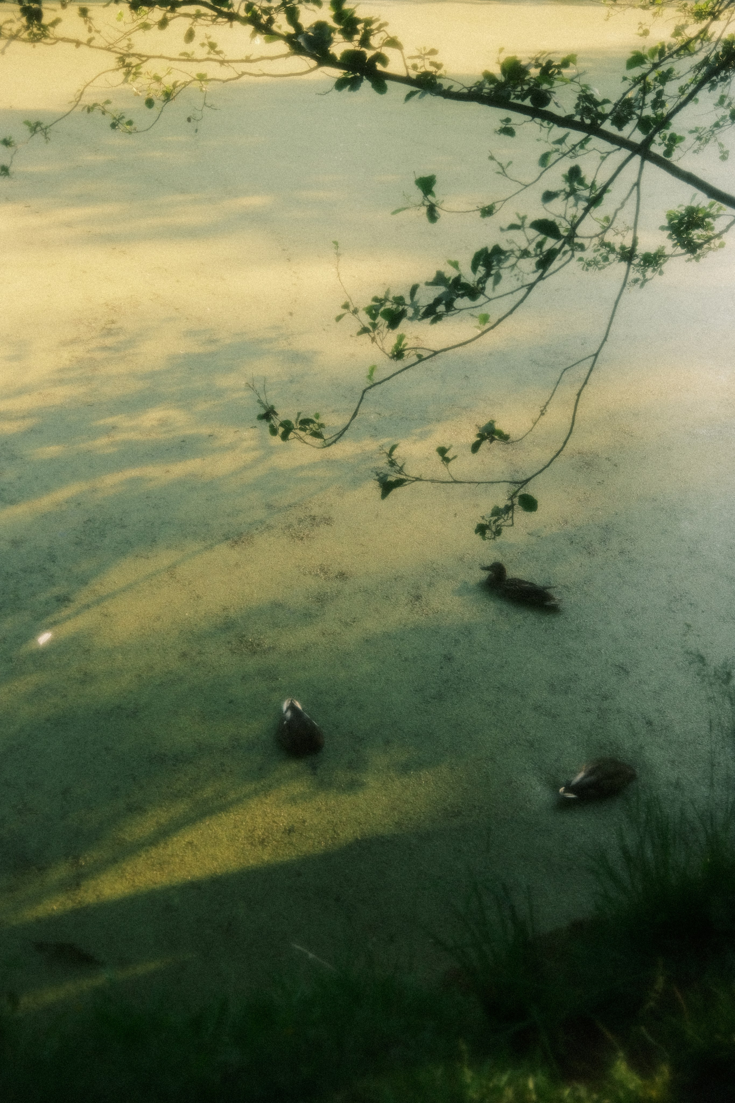 Невесомость. Портретный фотограф