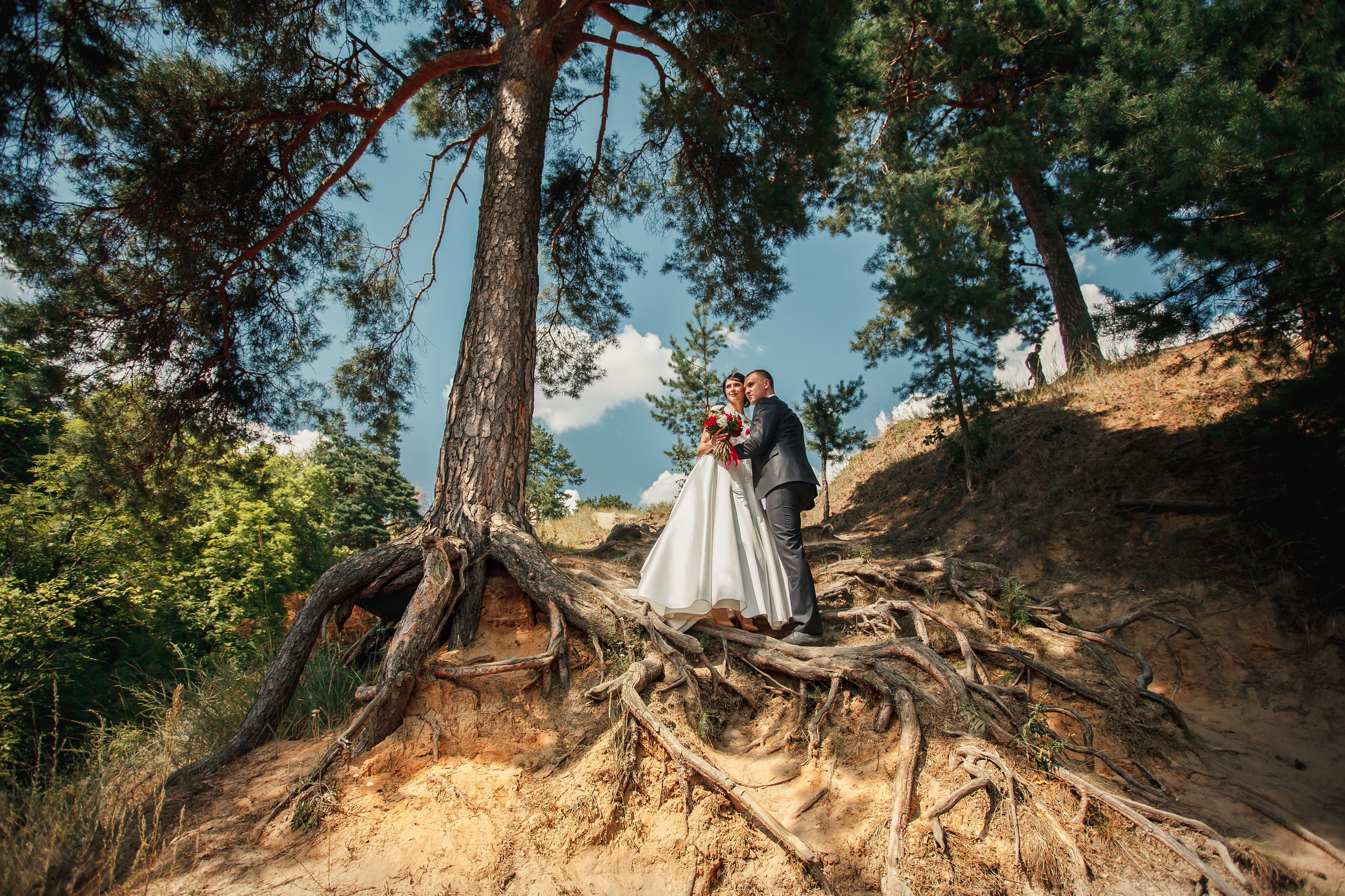 Сергей и Виктория. Свадебный фотограф в Алексеевке Сергей Коротенко