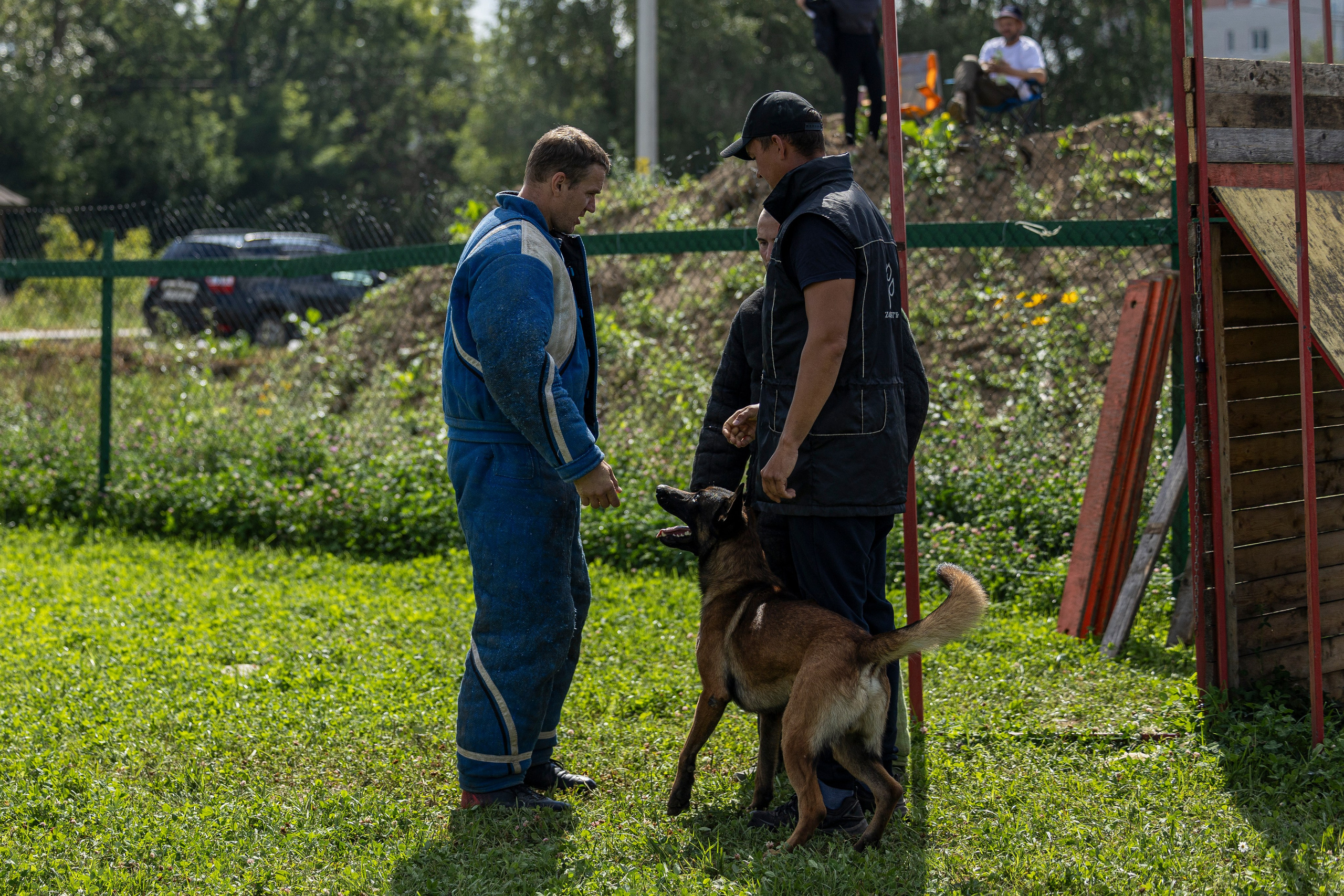 Соревнования по Мондьорингу г. Вологда 10-11.08.2024. Фотограф-анималист Анна Маринич