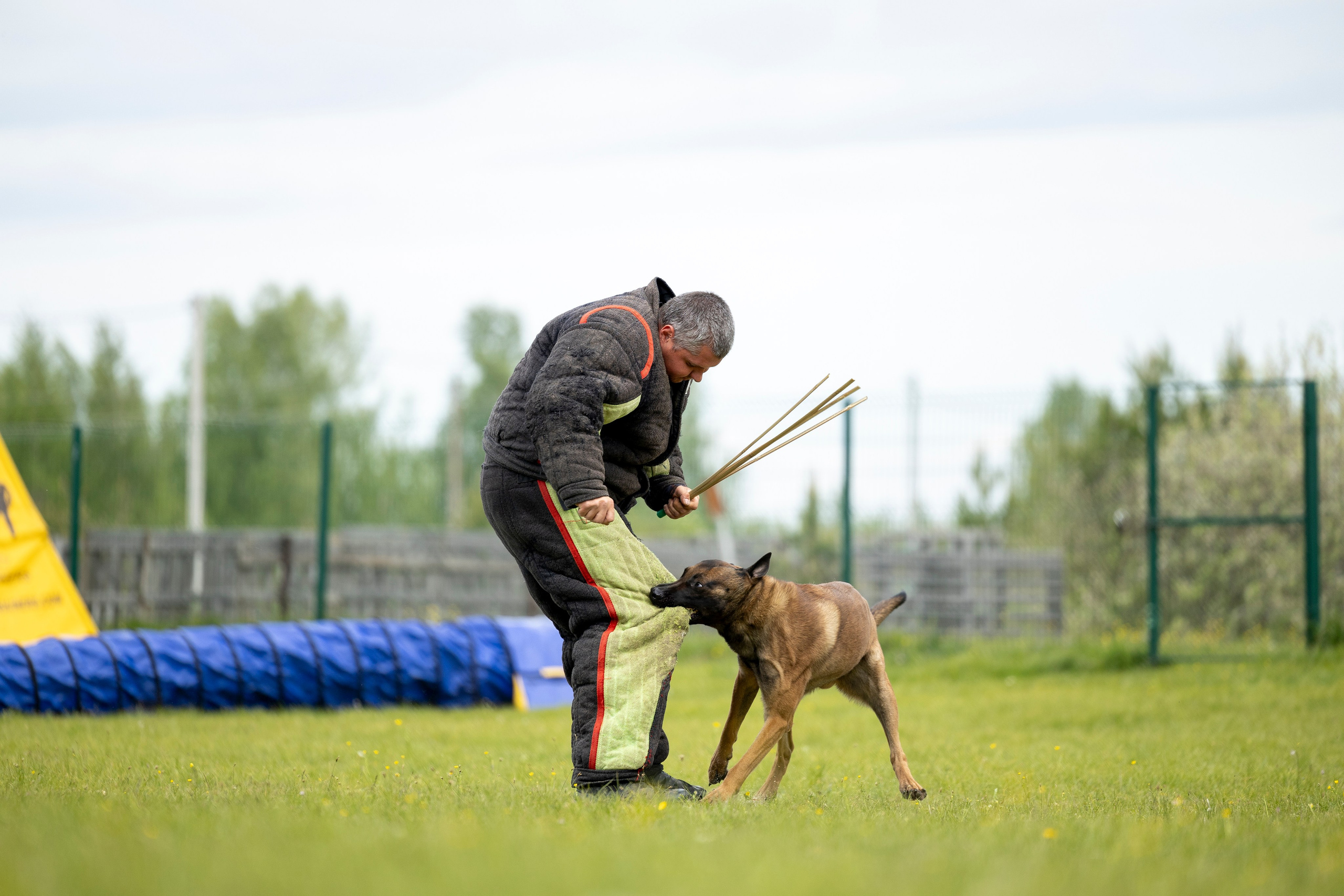 Испытания по мондьорингу в Нижнем Новгороде. Фотограф-анималист Анна Маринич