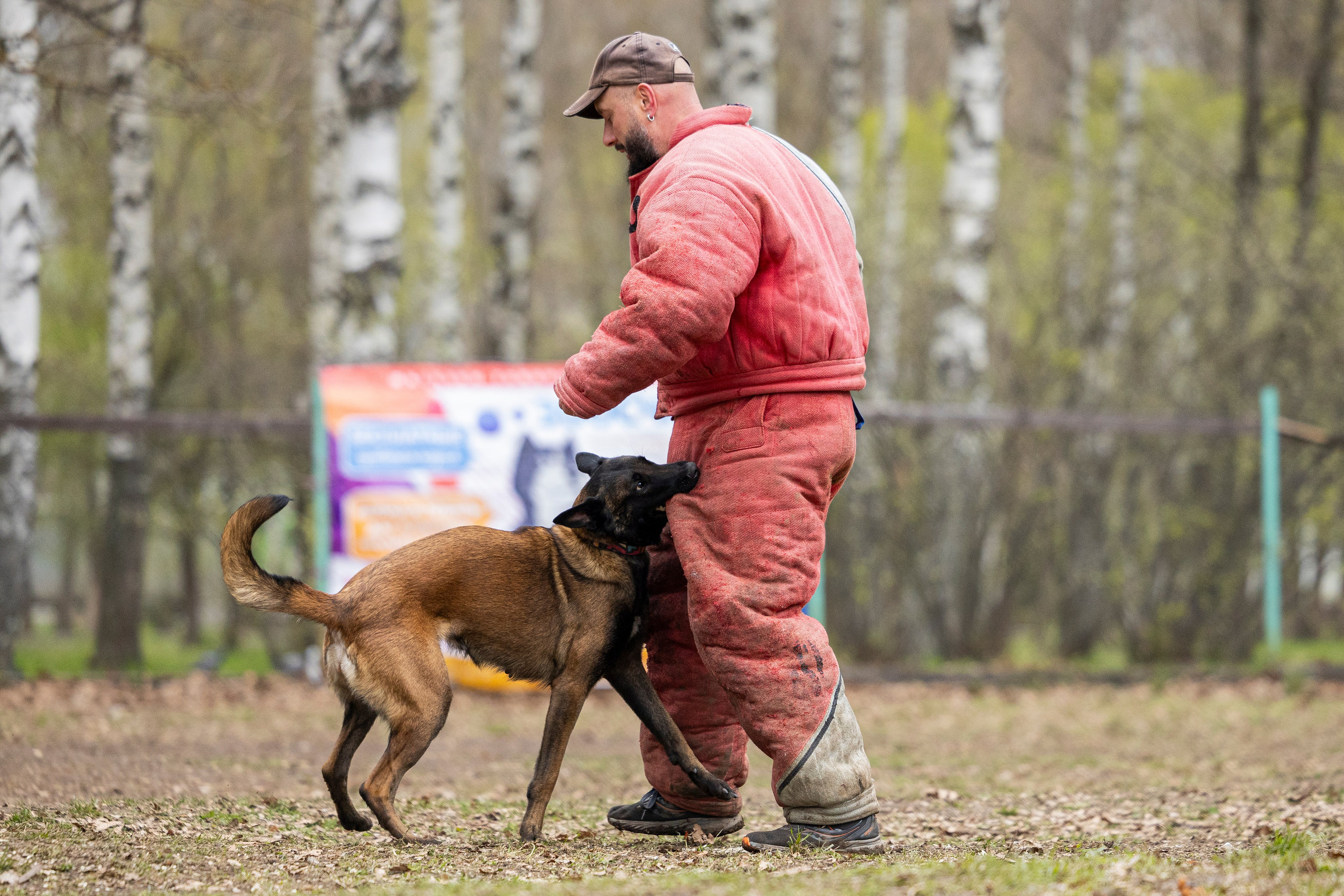 Квалификационные состязания по мондьорингу г. Вологда 11.05.24. Фотограф-анималист Анна Маринич