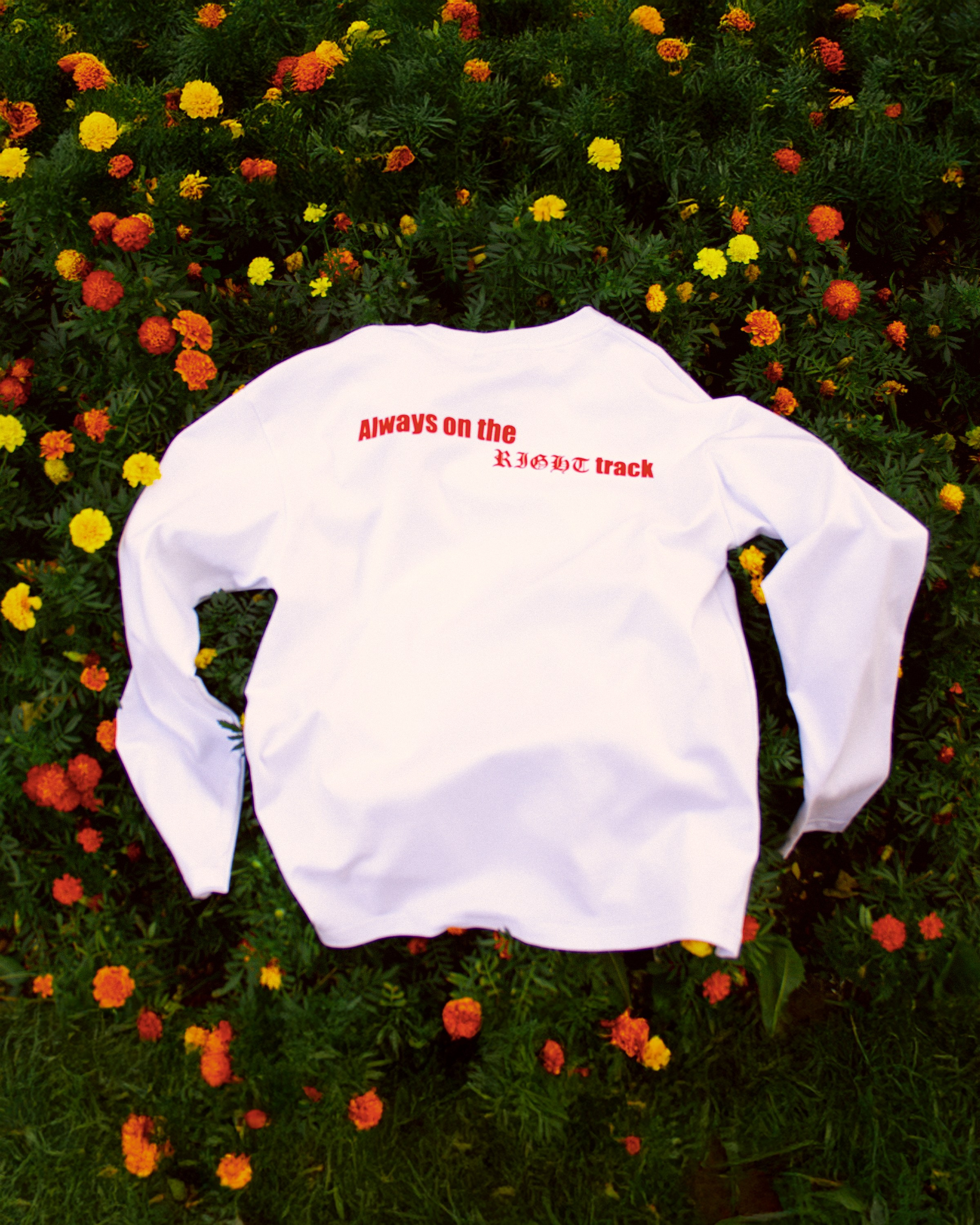 Предметные фото от @sample.wav. Поп-ап фотограф в Ростове-на-Дону