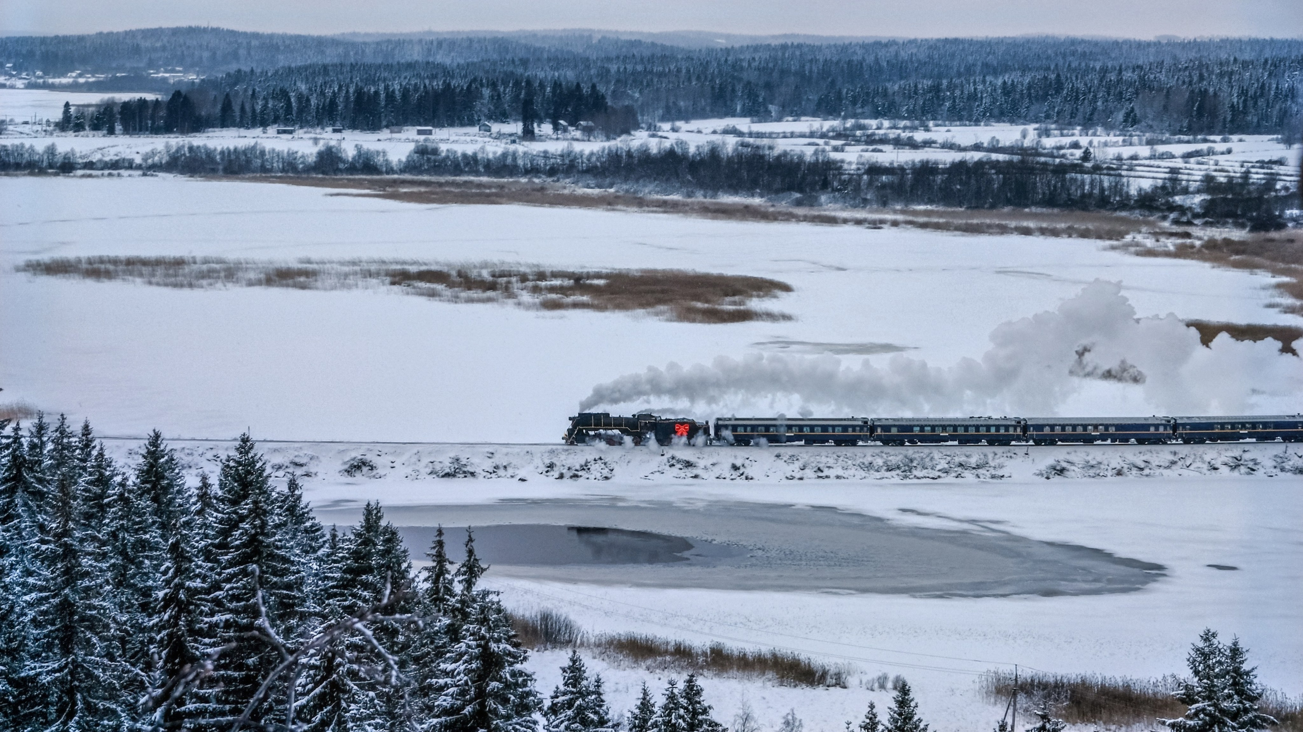 Стрит. Фотограф в Москве, фотожурналист Александр Малахов