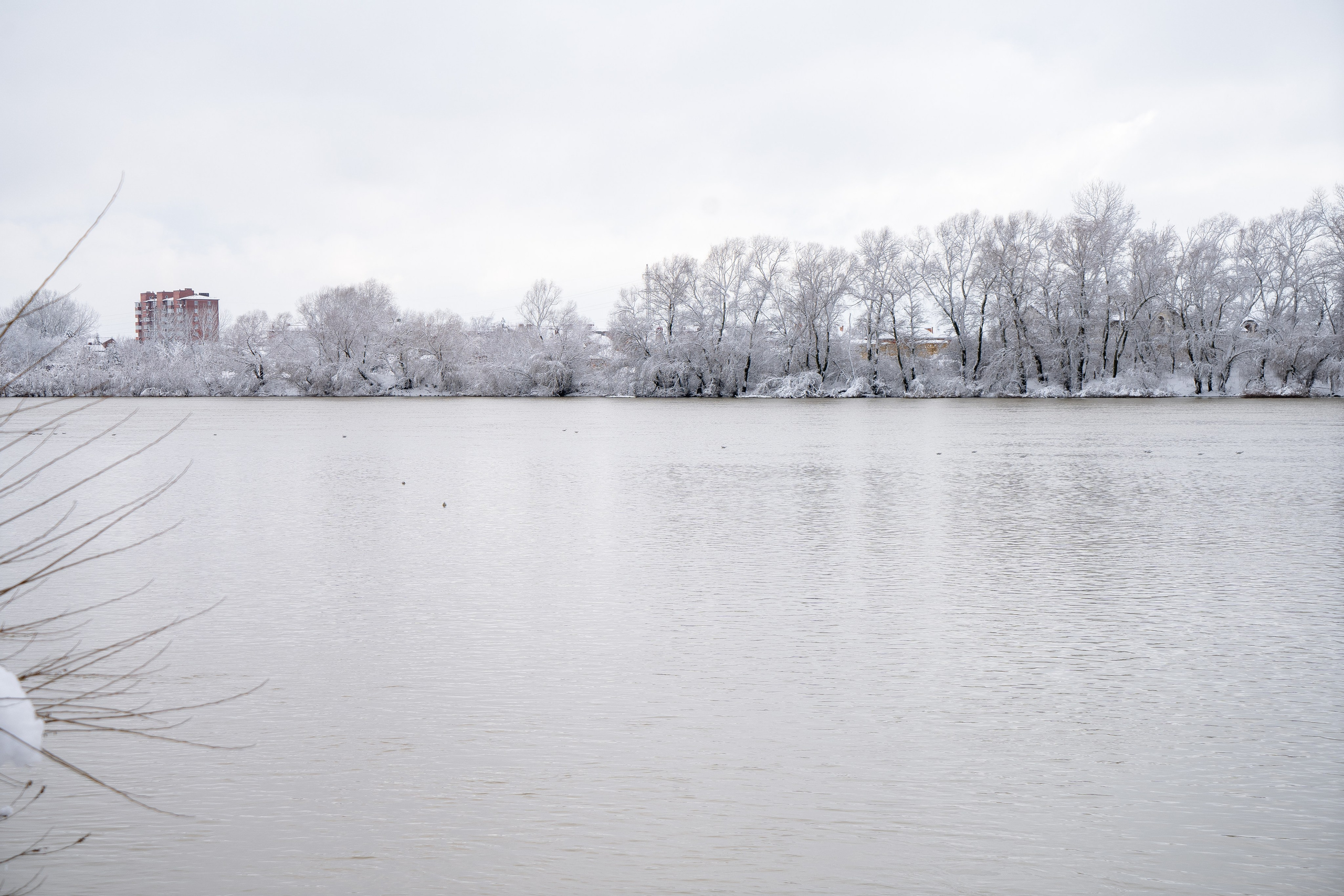 Зима 2024. Свадебный и семейный фотограф/видеограф в Краснодаре Наталья Осинская