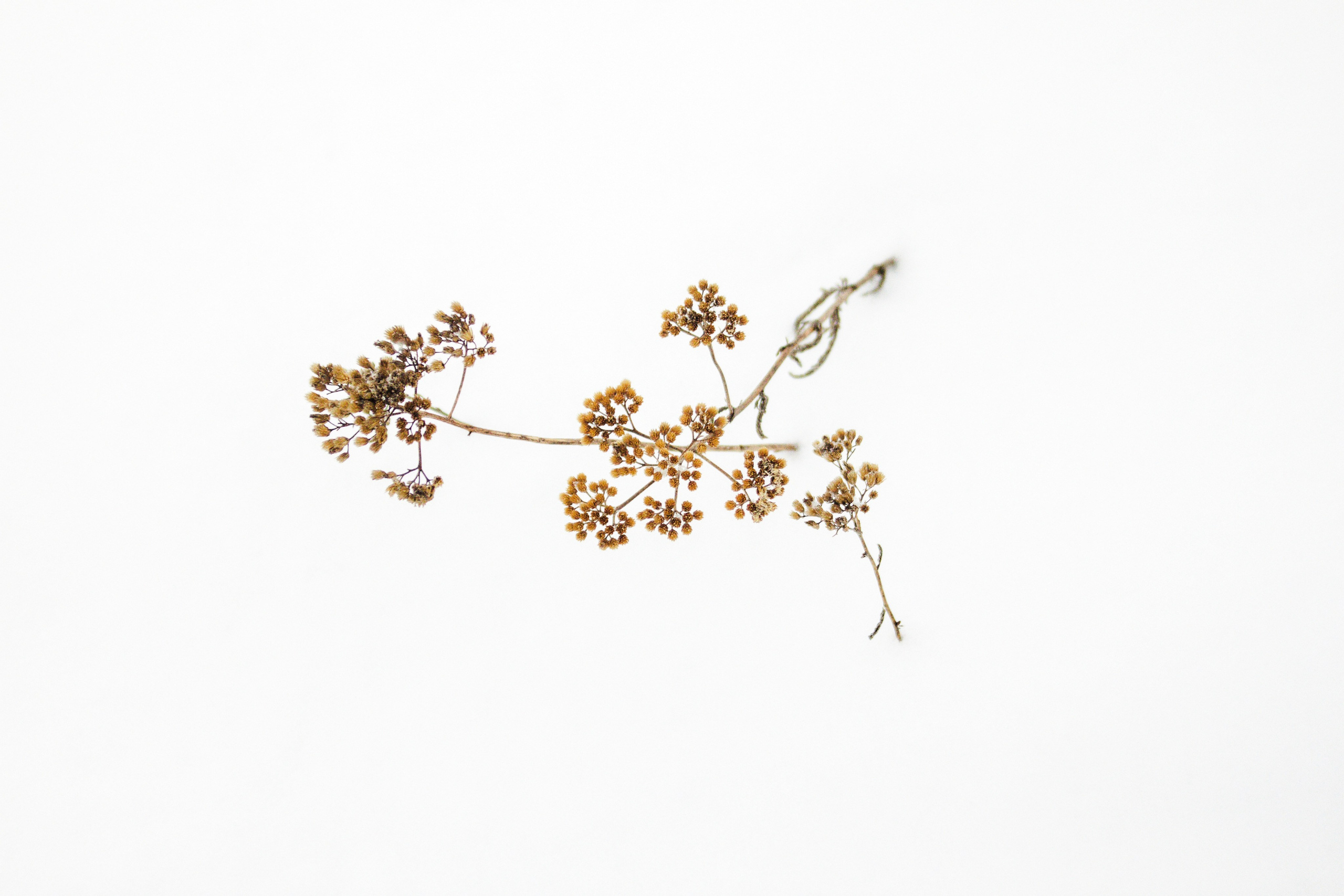 Этот прекрасный мир