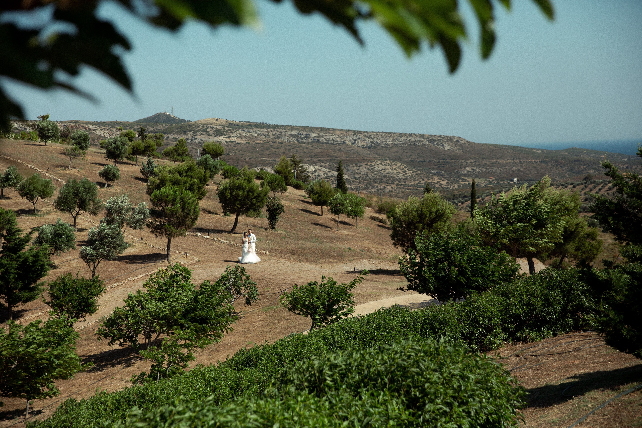 Максим & Ксения. Агентство по организации мероприятий