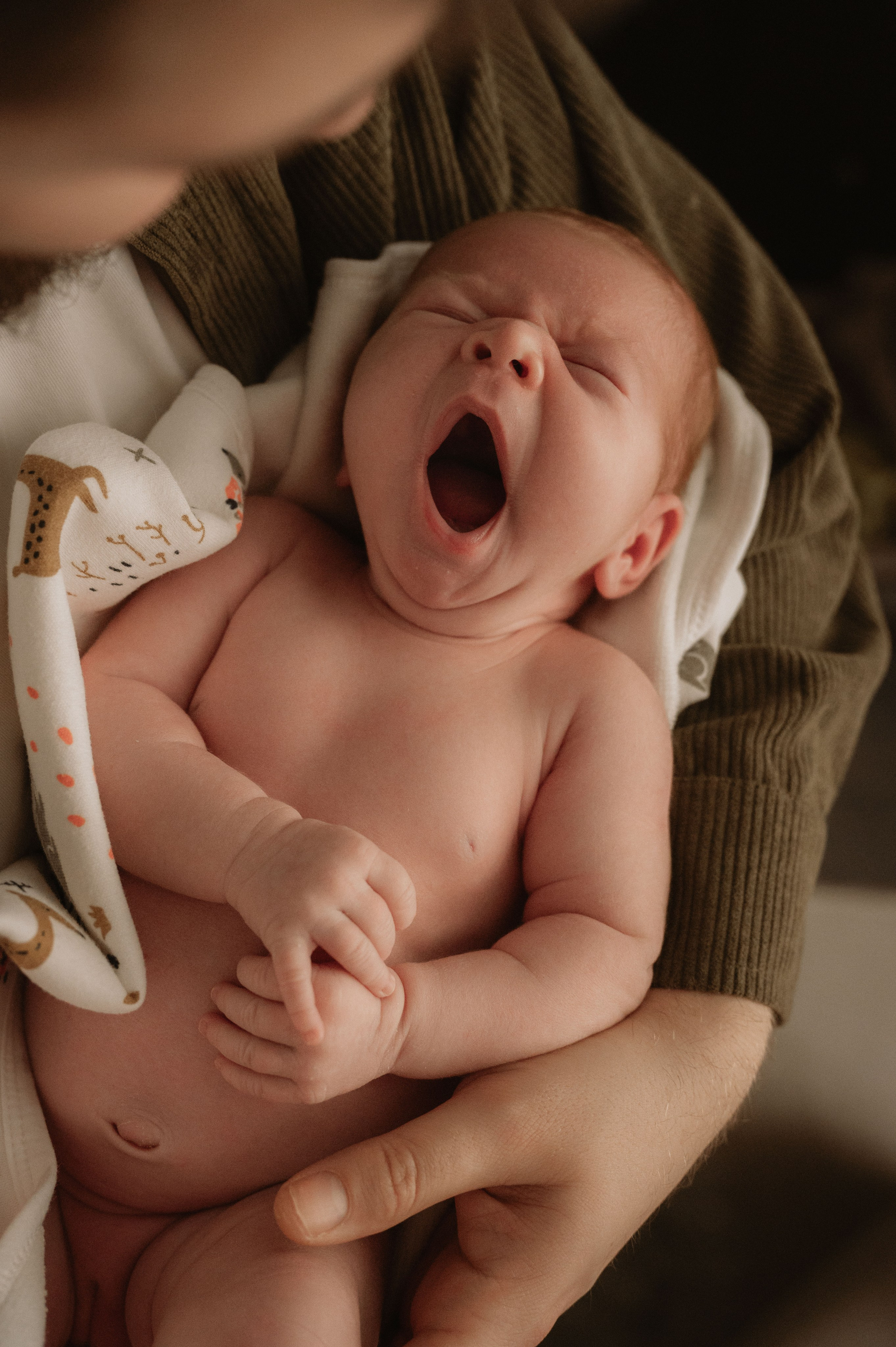 Лизавета, Никита и Мирослава. Фотограф беременности и семьи, домашние съемки, Ньюборн