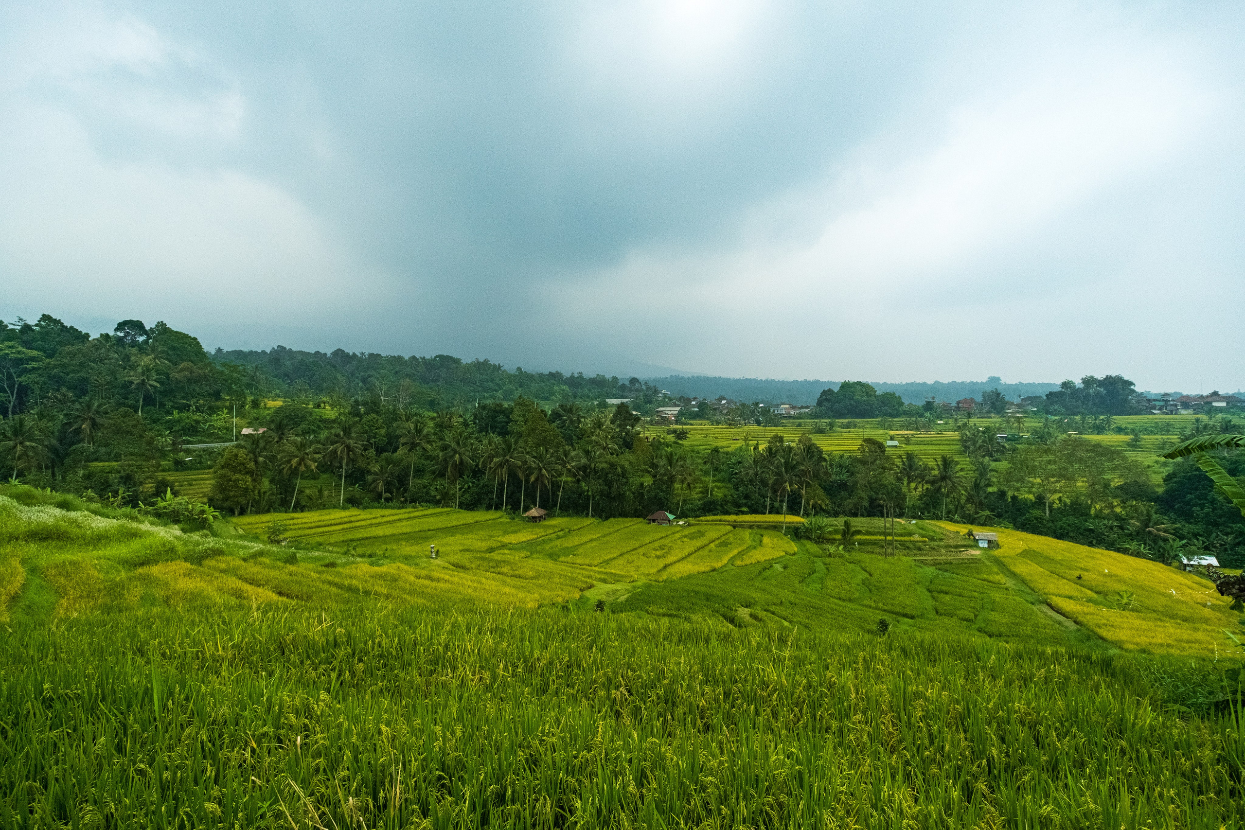 Остров Бали. Фотографии из путешествий