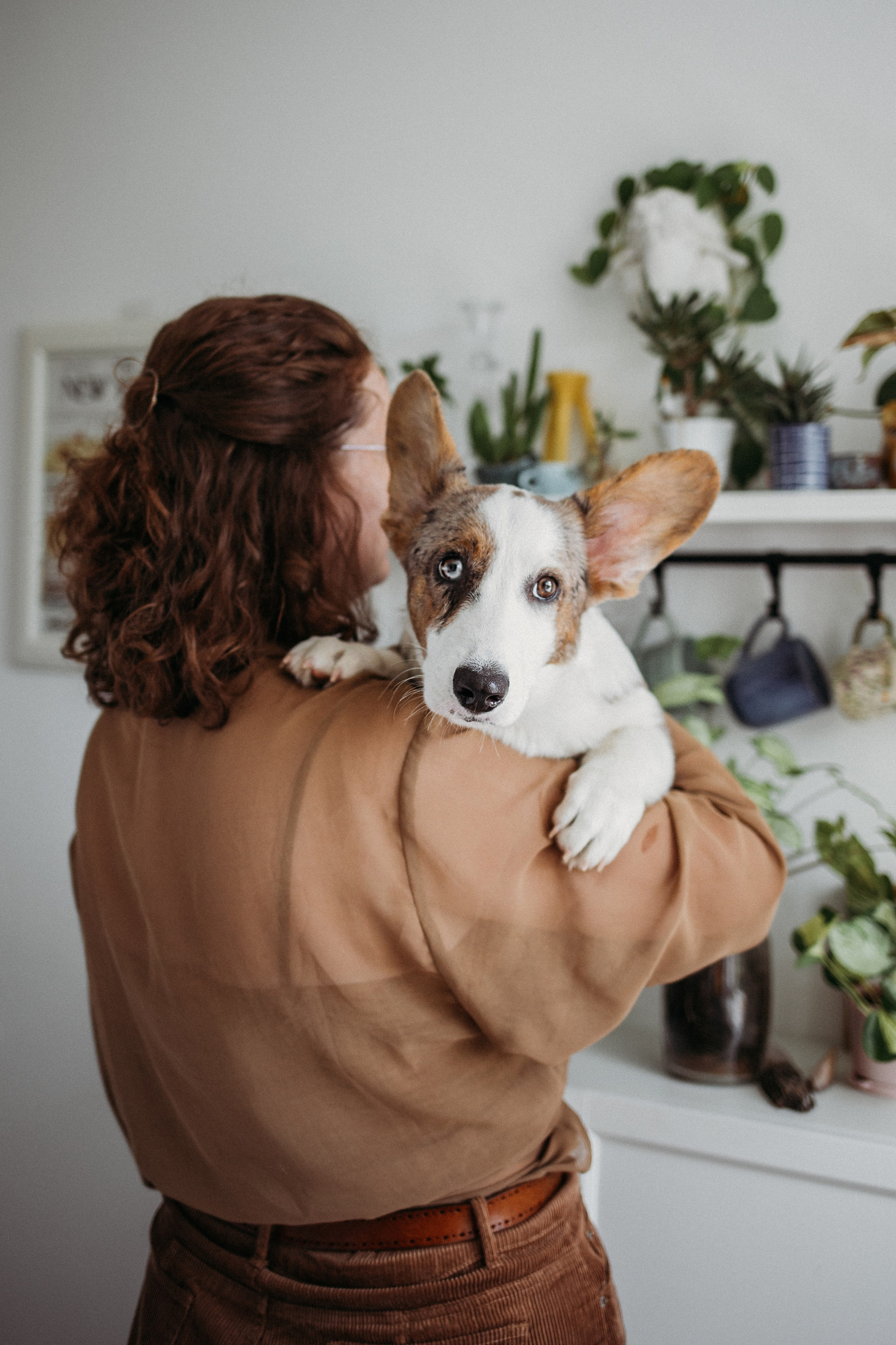 Ксюша, Жан и Марципан. Семейный фотограф в Самаре