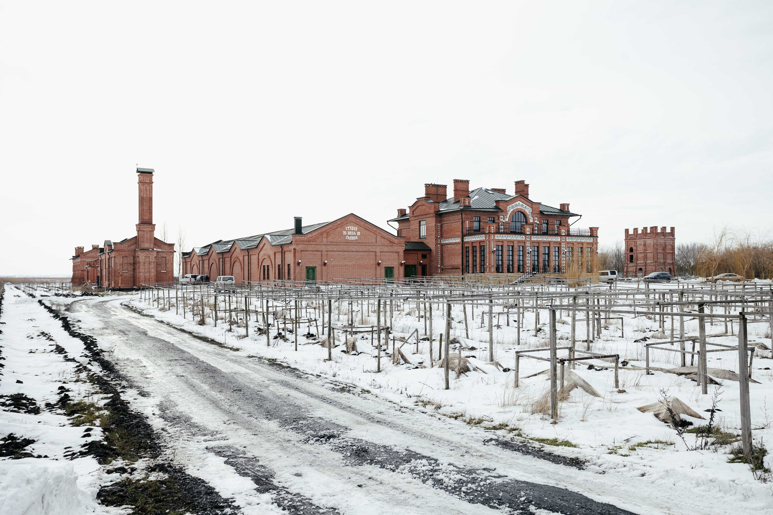 Вина Арпачина. Контент фотограф в Ростове-на-Дону Мардус Павел