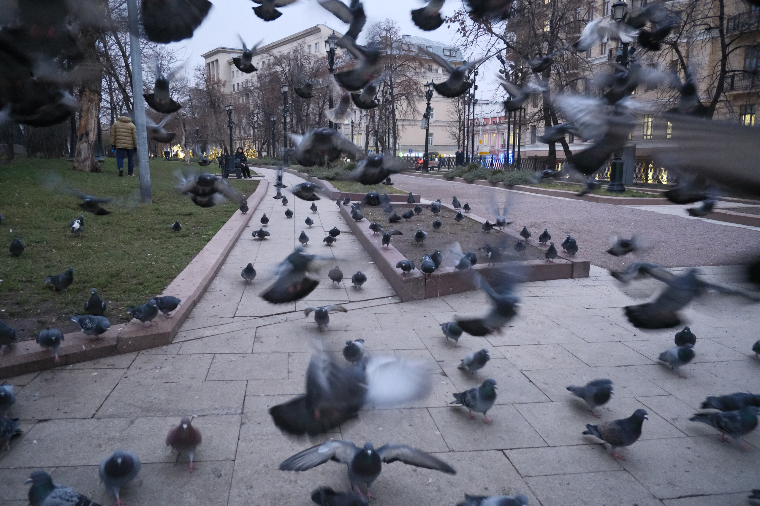 Вечерний город. Улица, люди, жизнь…