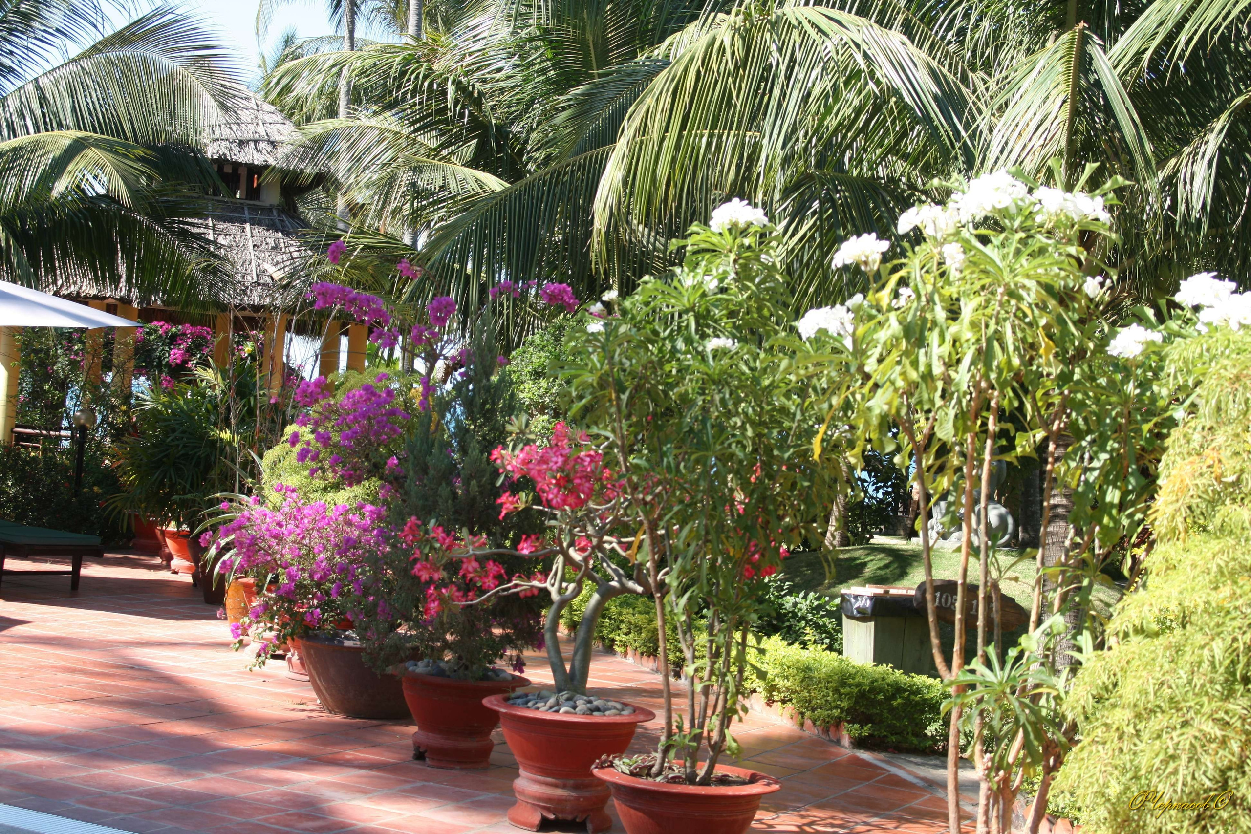 Вьетнам 2008 г. Улица, люди, жизнь…