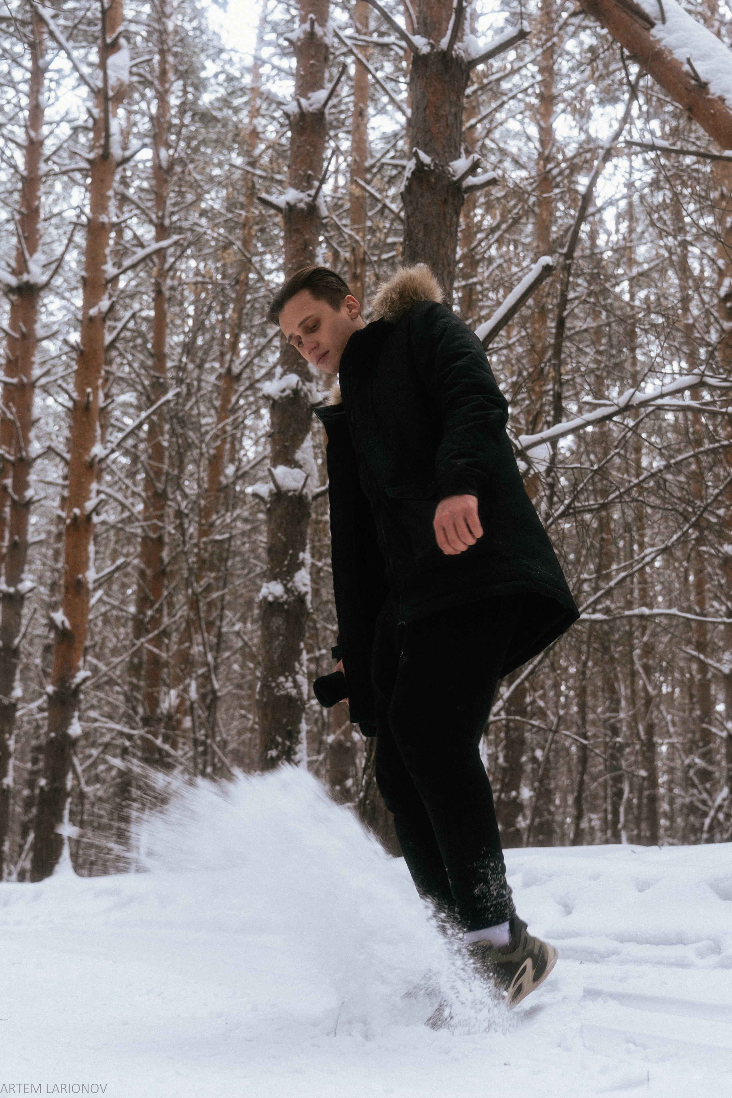 Снежный лес. Фотограф Артем Ларионов